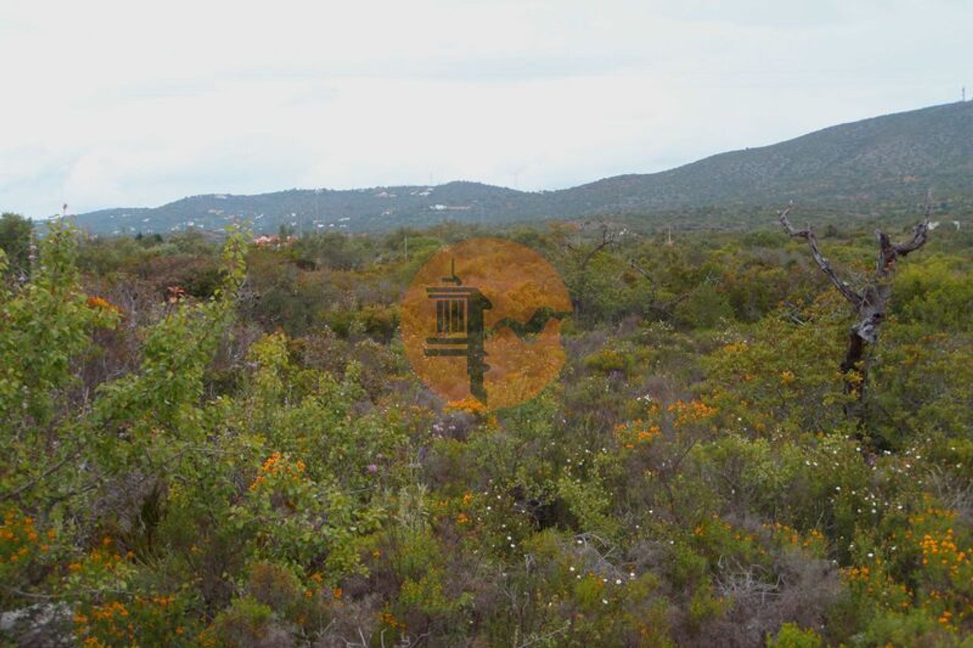 Land in Olhão, Faro District 12580699