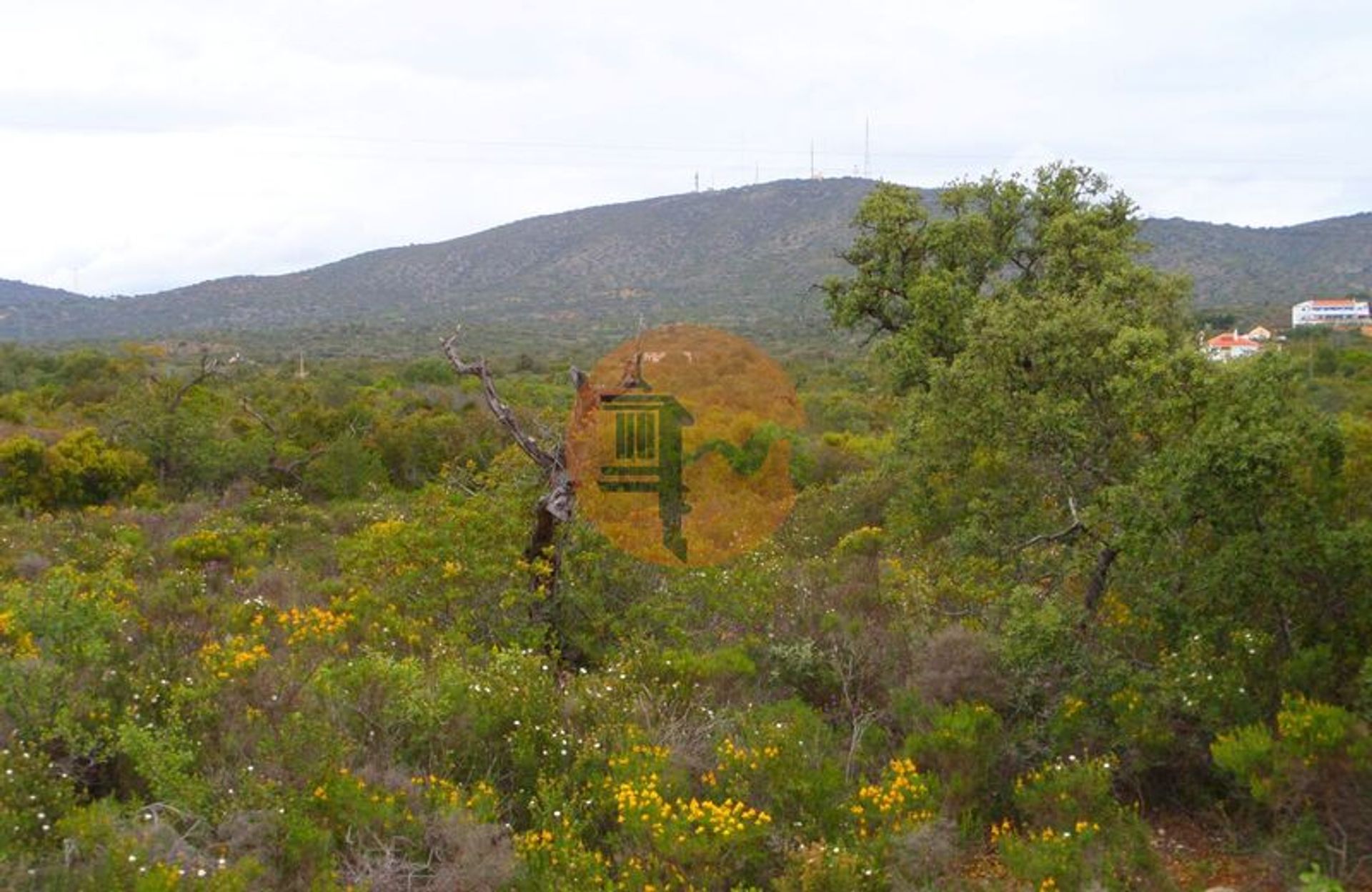 Land in Olhão, Faro District 12580699