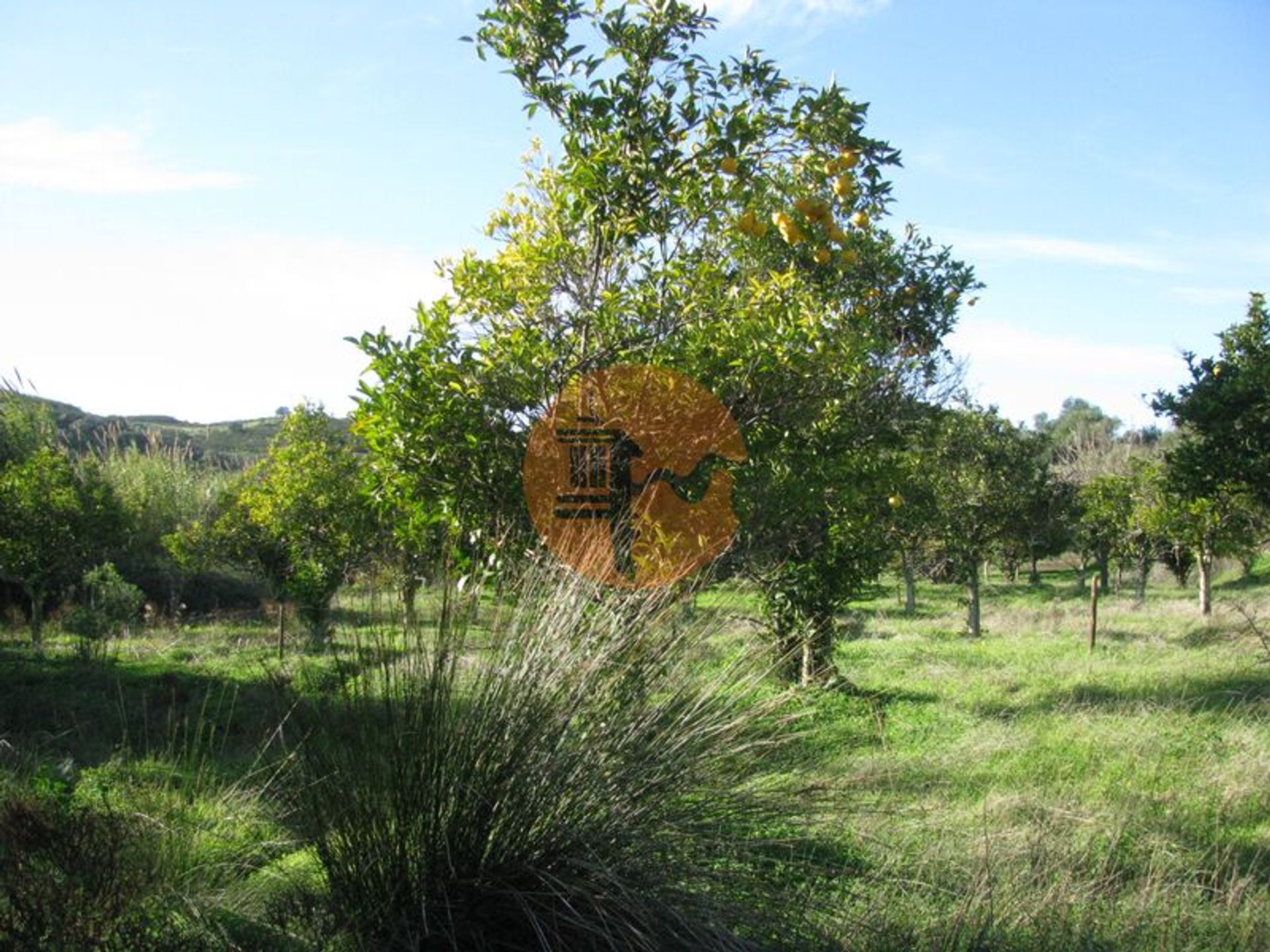 Tierra en Castro Marim, Faraón 12580703