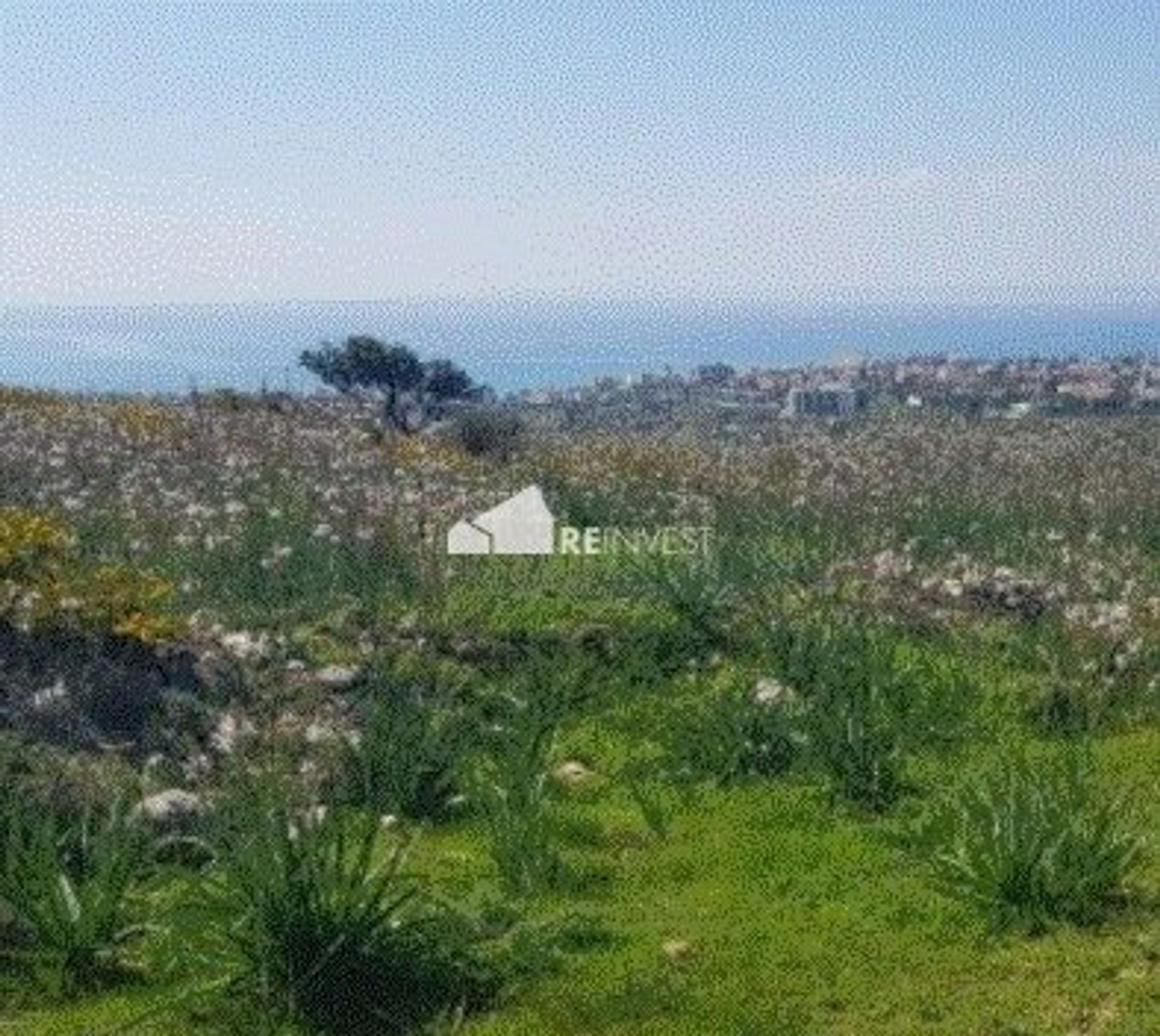 Land in Peyia, Paphos 12580915