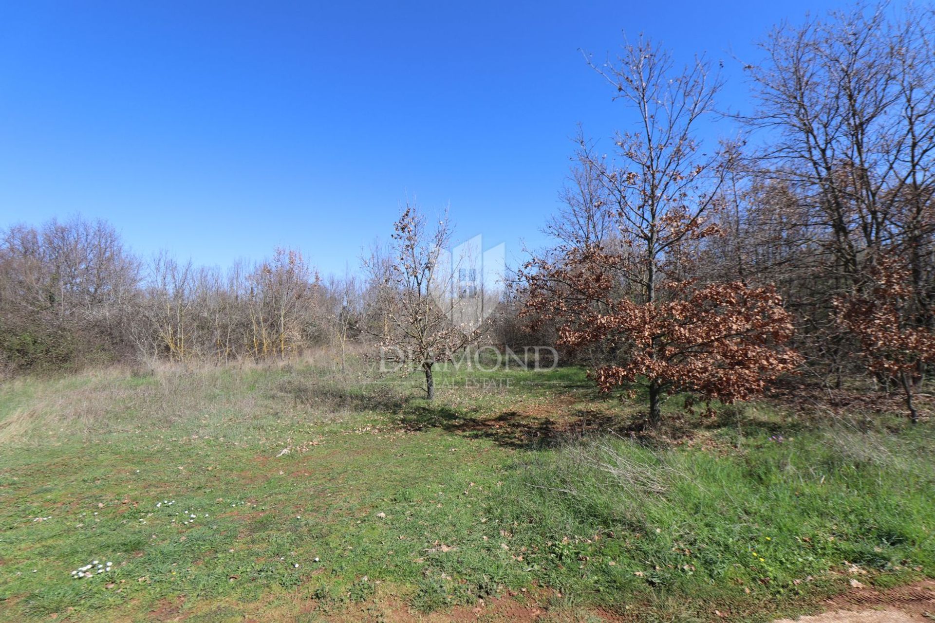 Land in Skatari, Istarska Zupanija 12581107