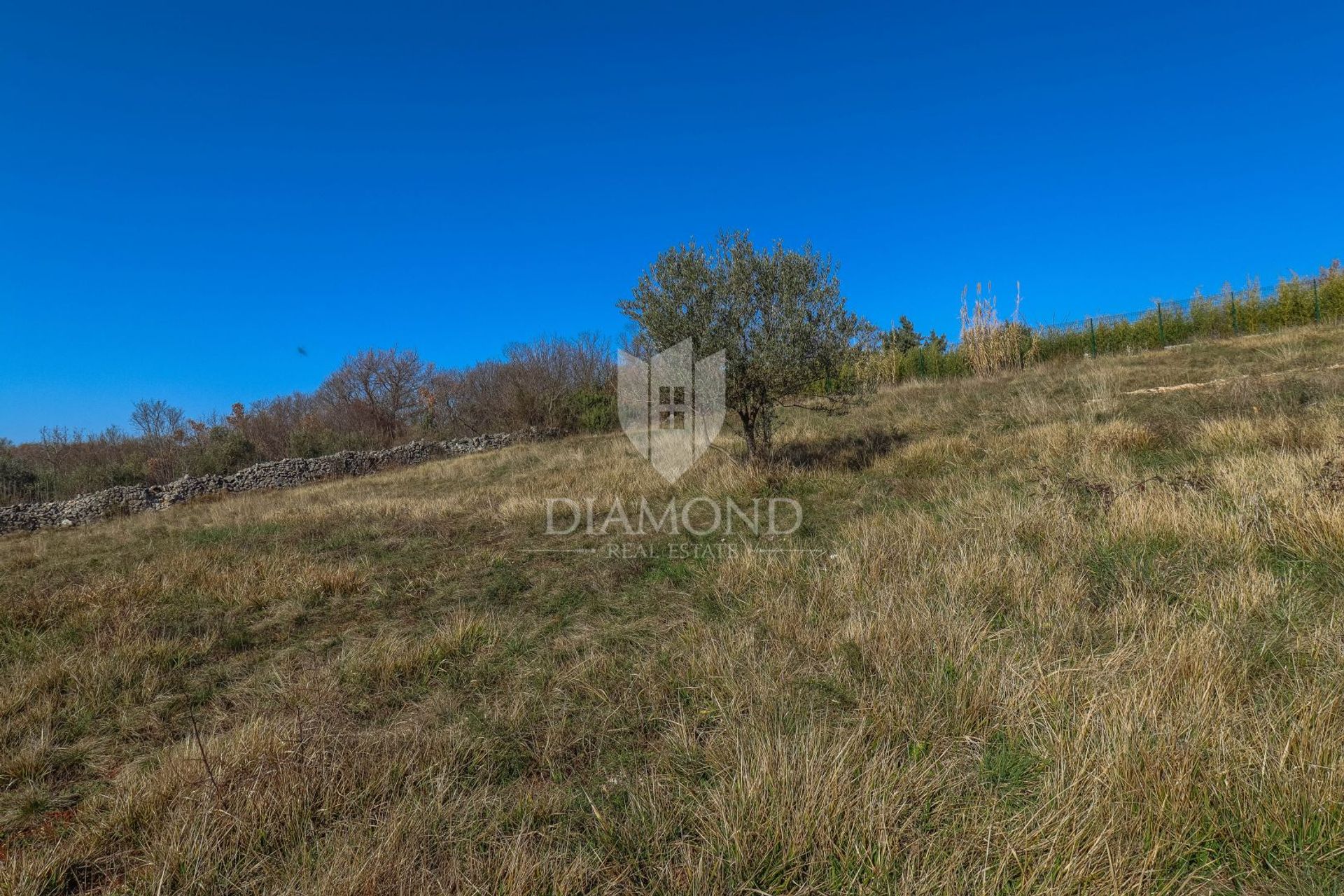 Land i Novigrad, Istria County 12581740