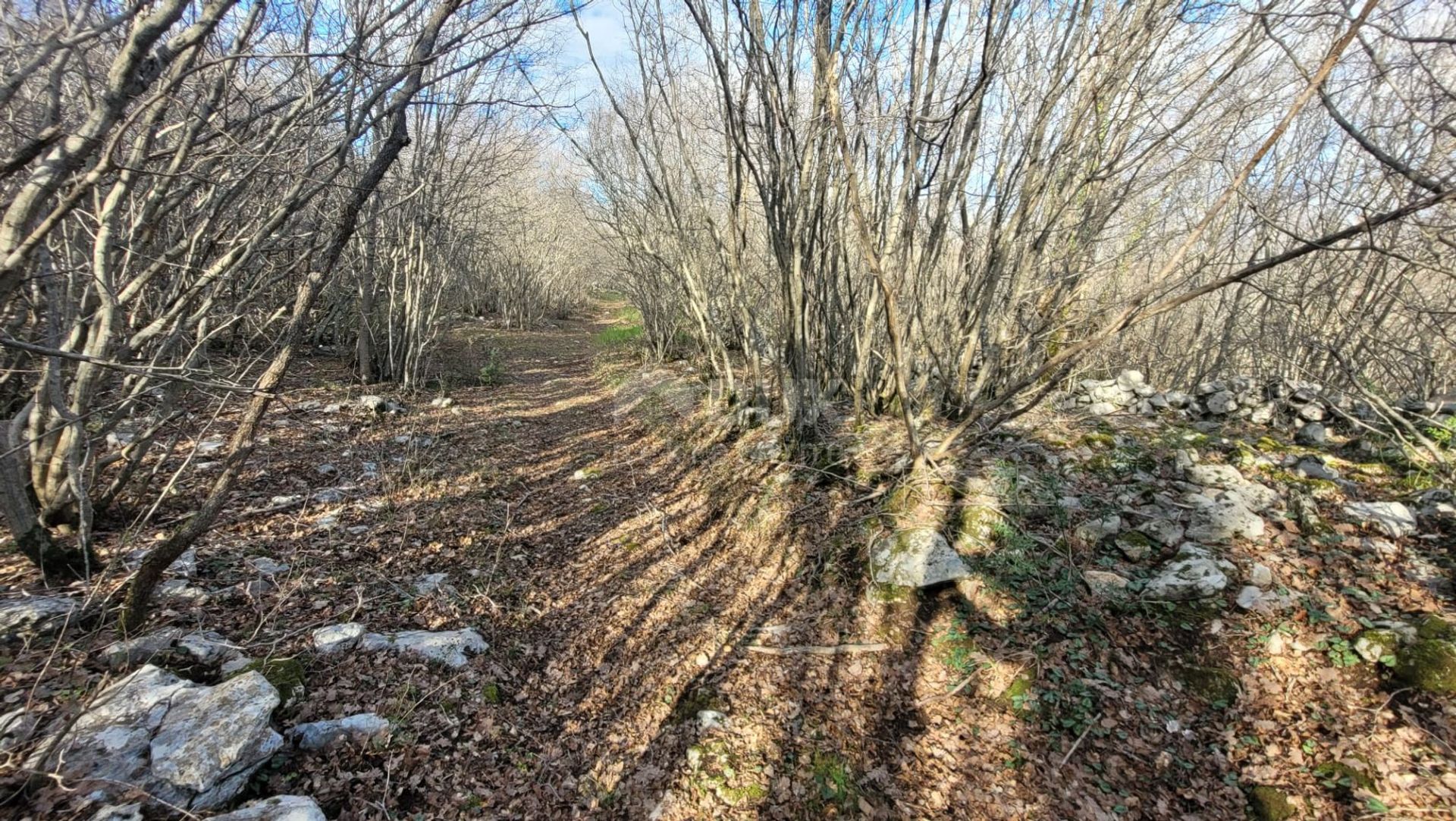 Tierra en Krk, Primorsko-Goranska Županija 12582298