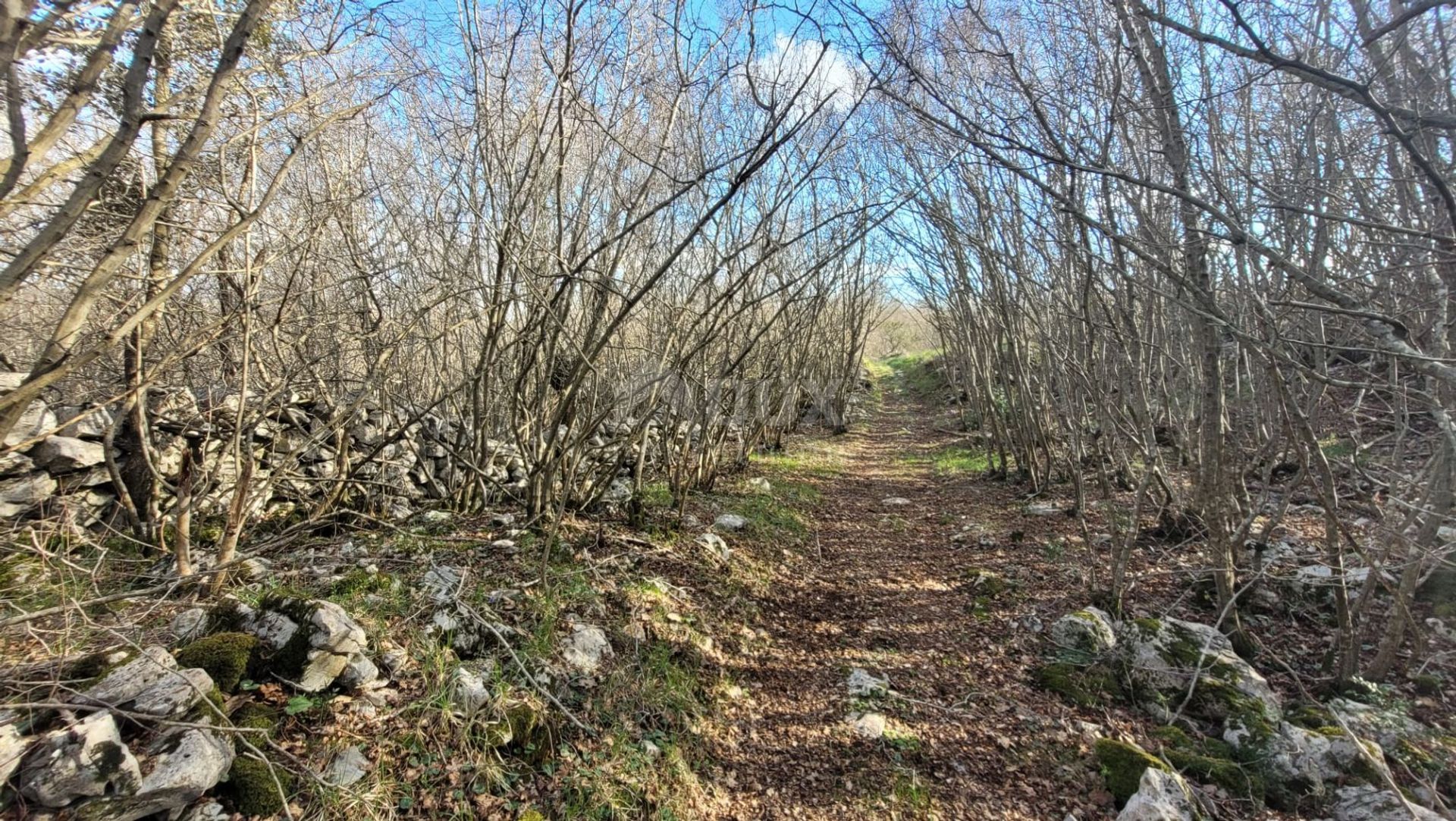 Tierra en Krk, Primorsko-Goranska Županija 12582298