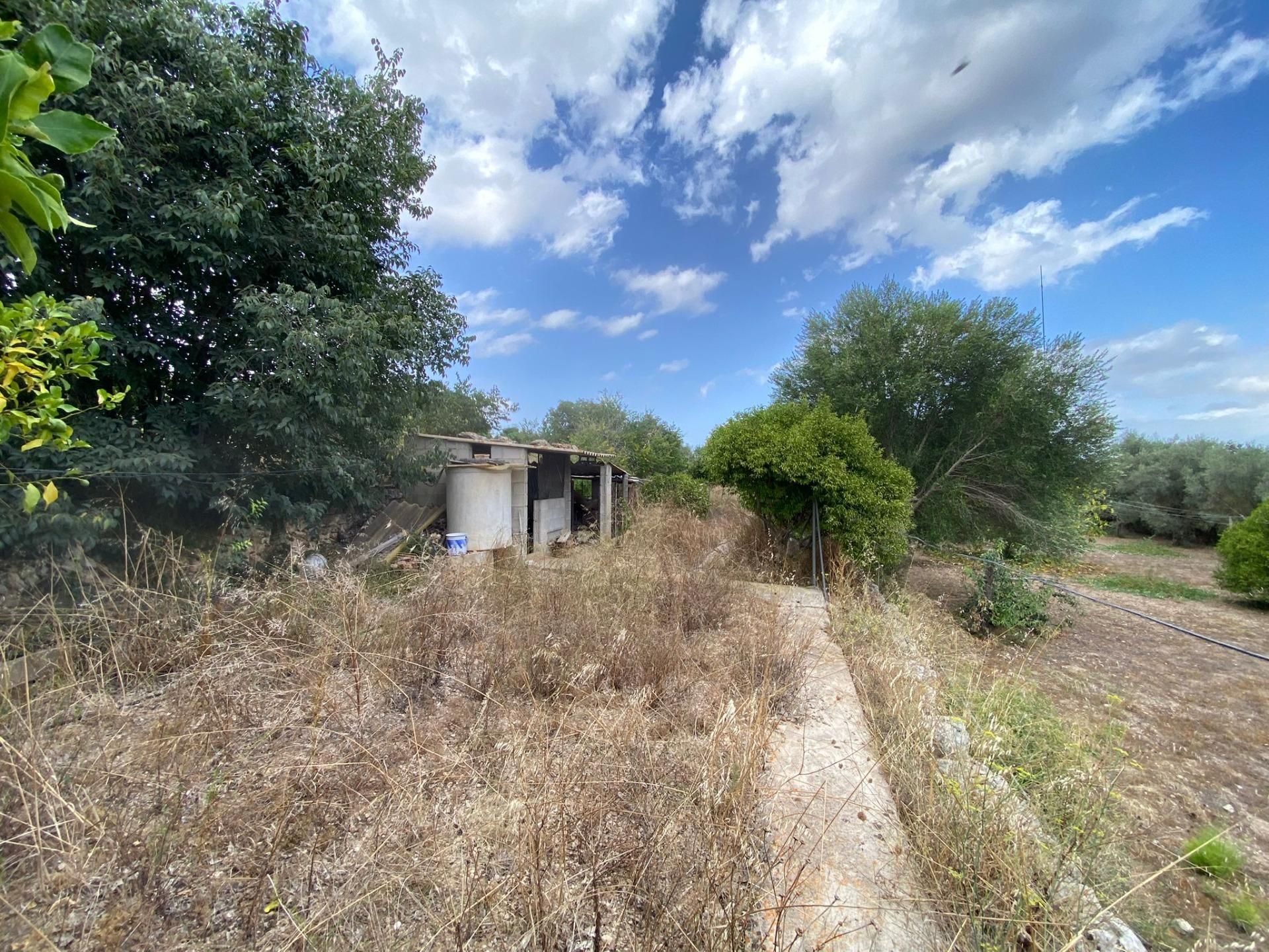 Casa nel Llubi, Balearic Islands 12582713