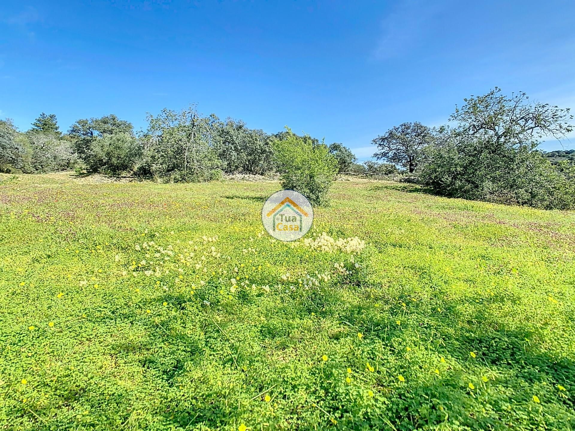 Land in Loulé, Faro District 12583013