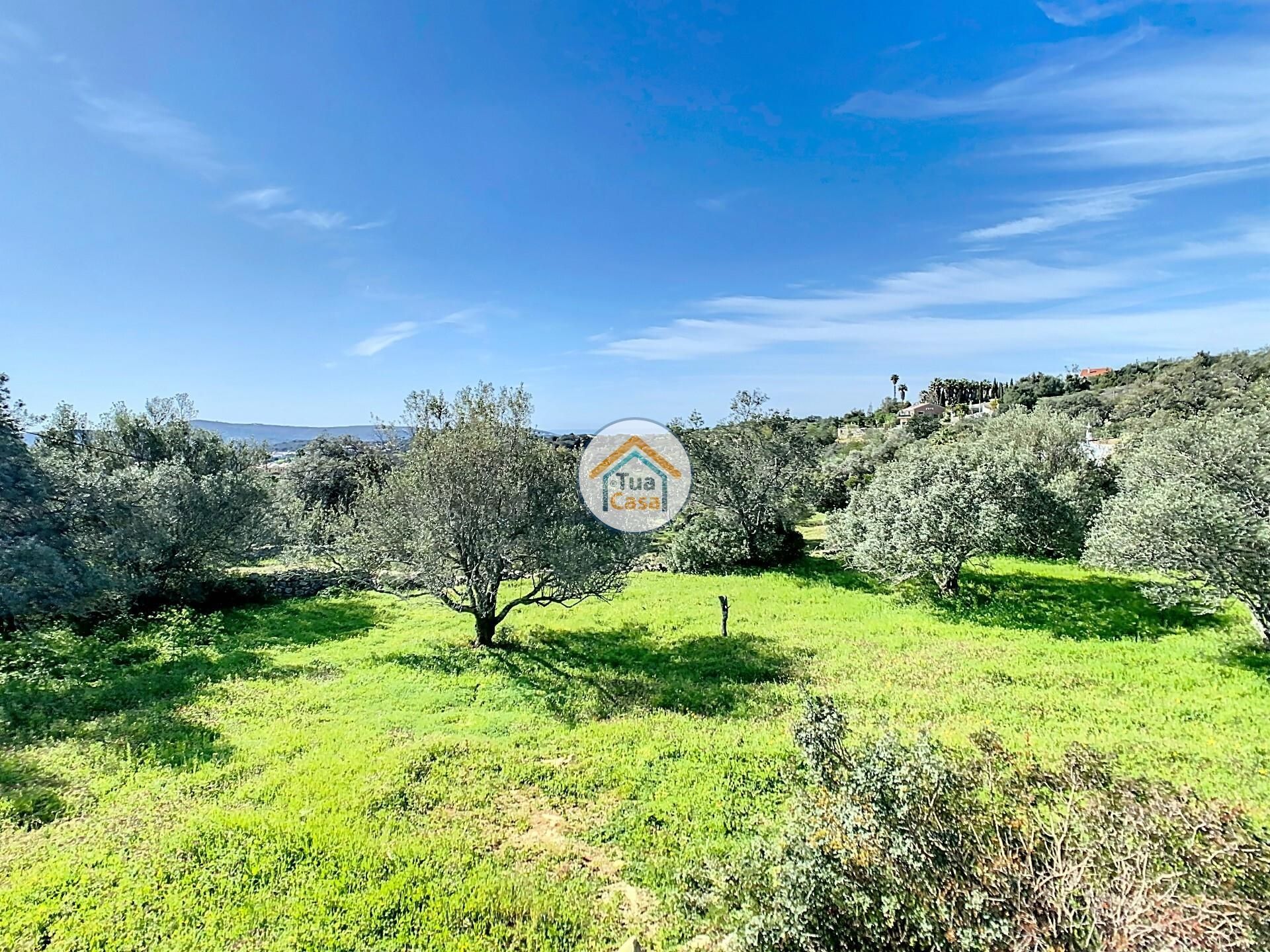 Land in Loulé, Faro District 12583013