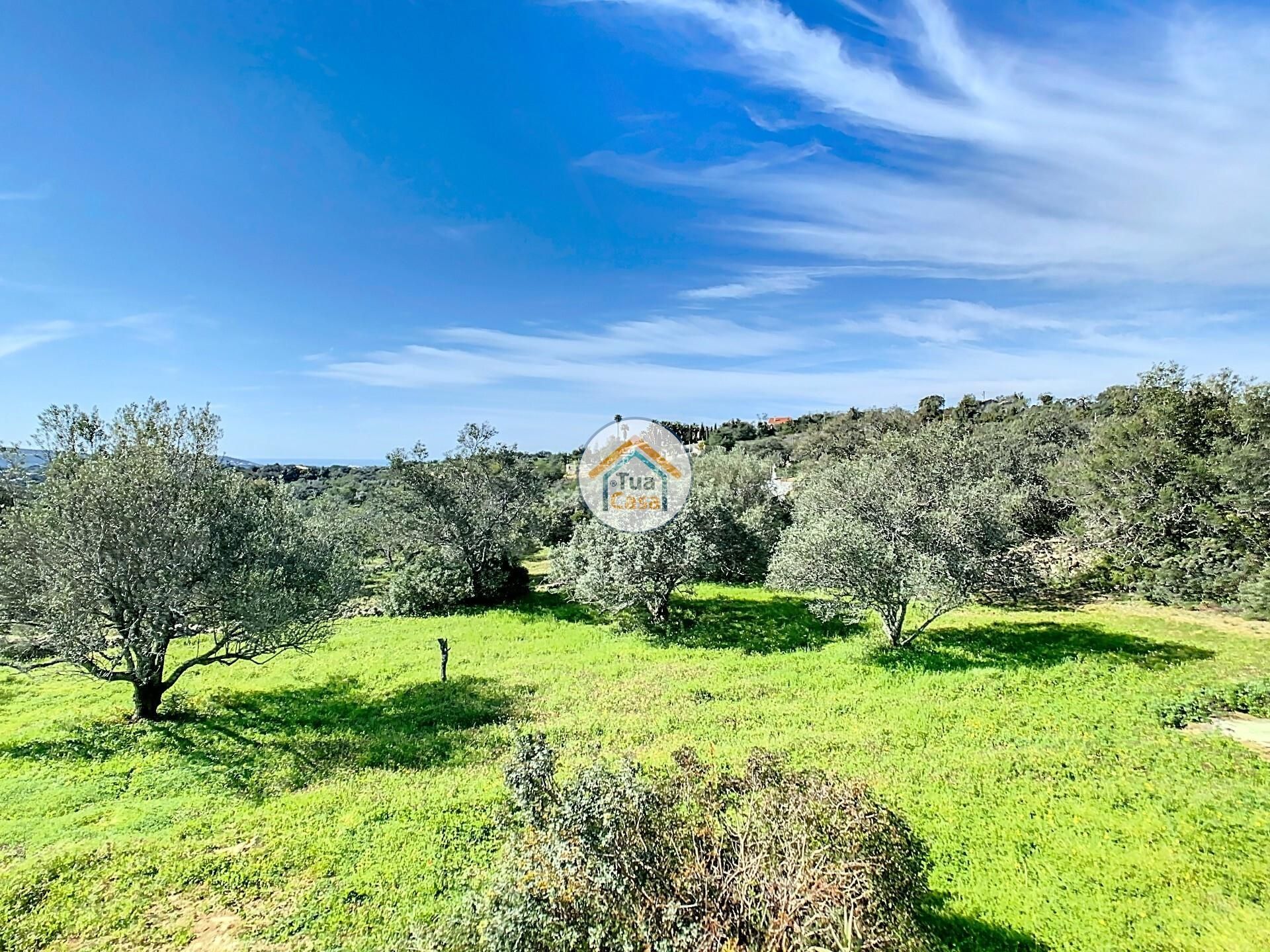 Land i Loulé, Faro District 12583013