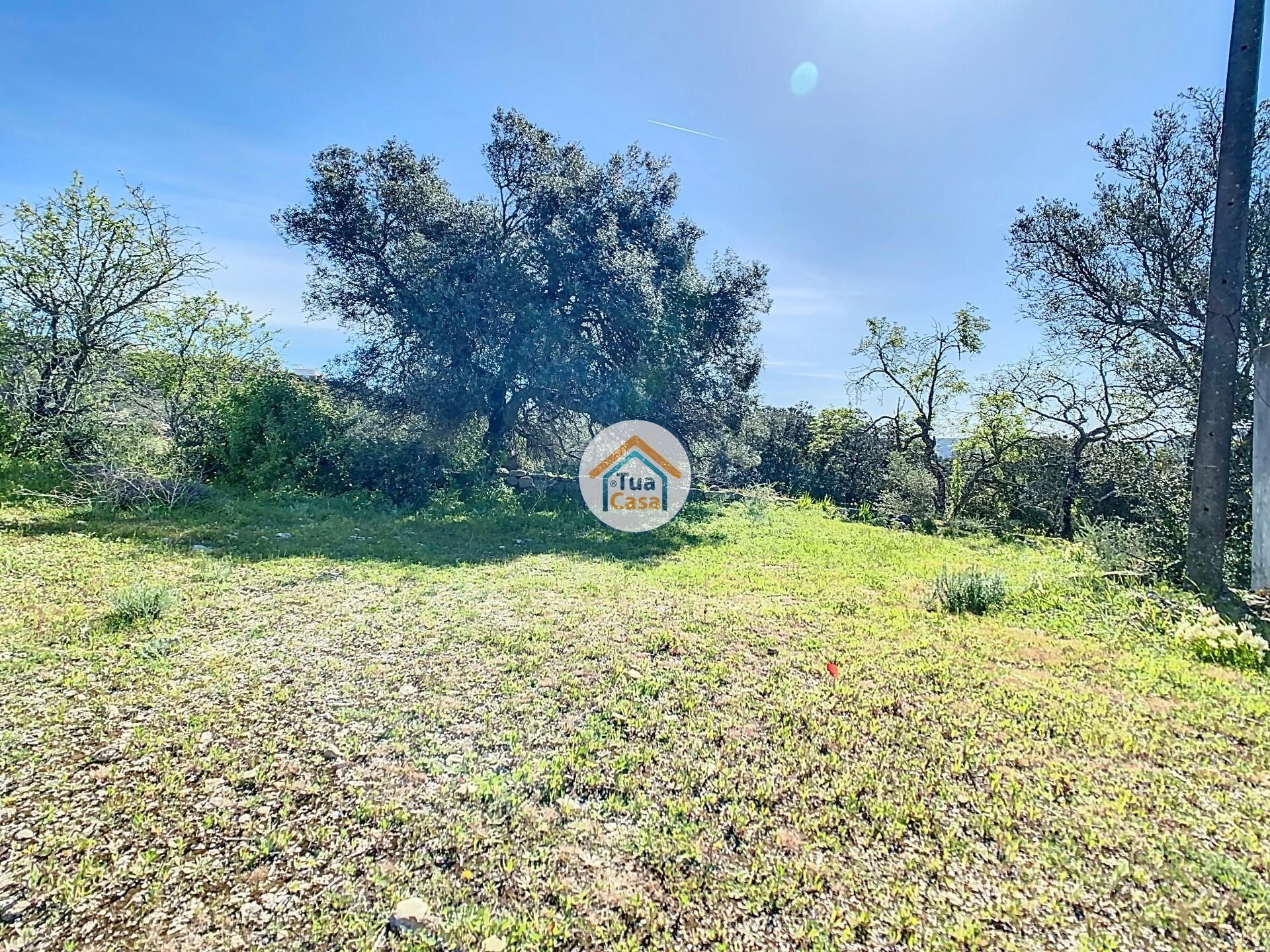 Land in Loulé, Faro District 12583013