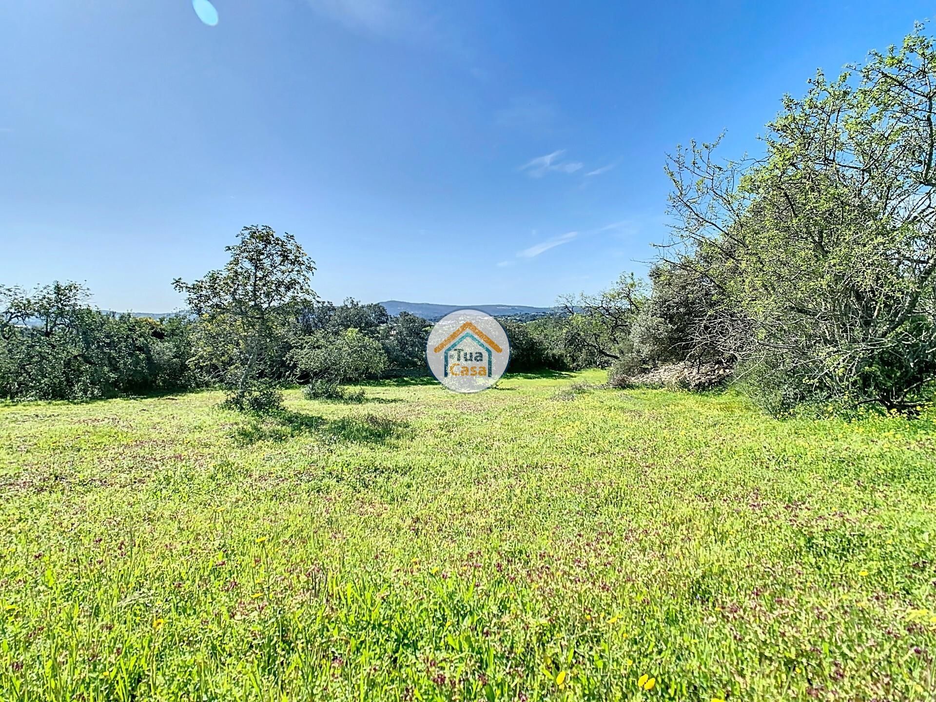 Land in Loulé, Faro District 12583013