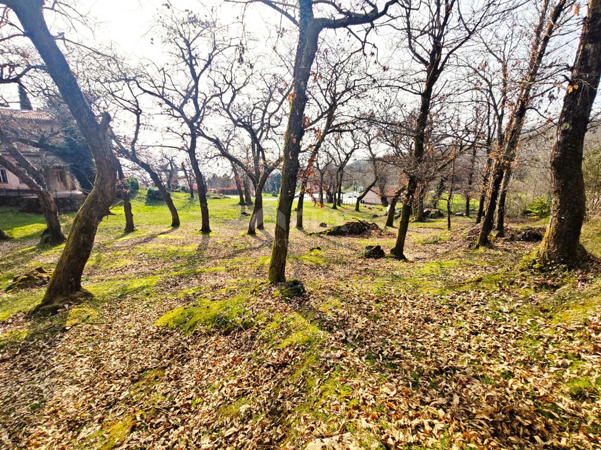 Земля в Іка, Приморсько-Горанська жупанія 12584496