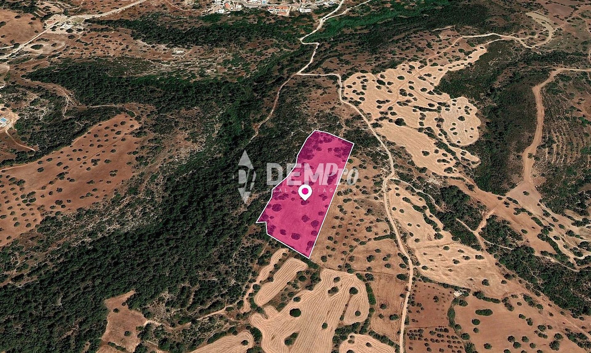 Tanah dalam Polis, Pafos 12584504