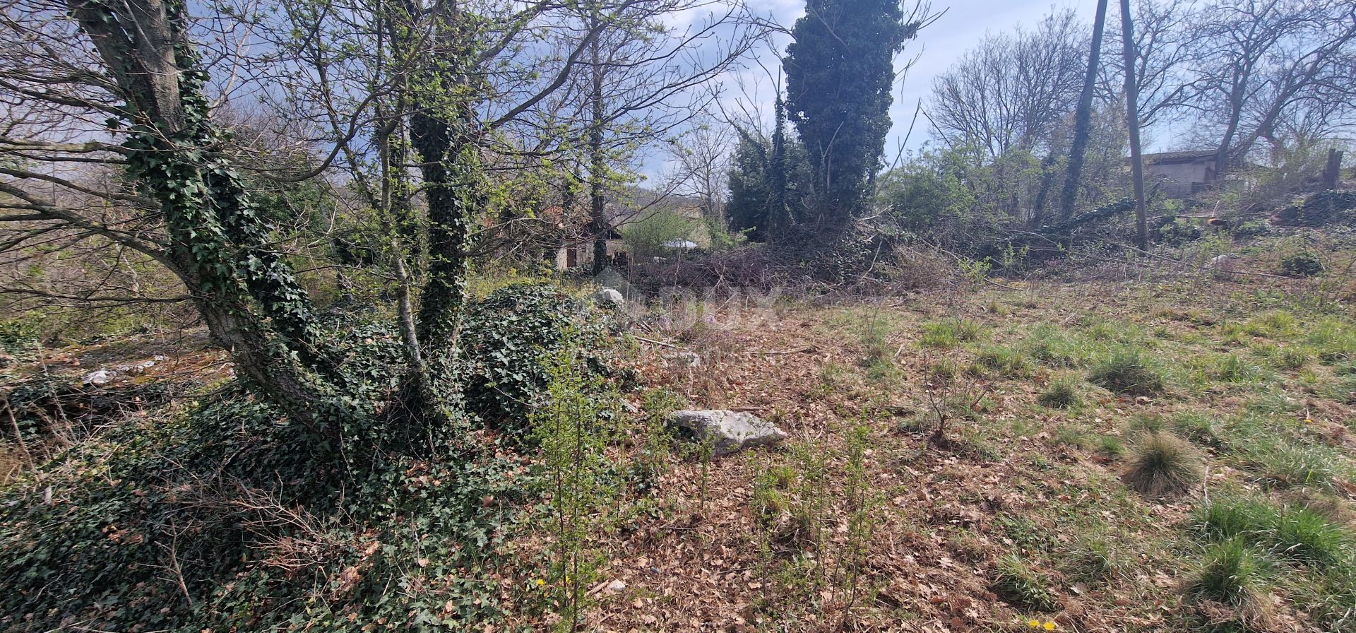 Land i Tinjan, Istria County 12585305