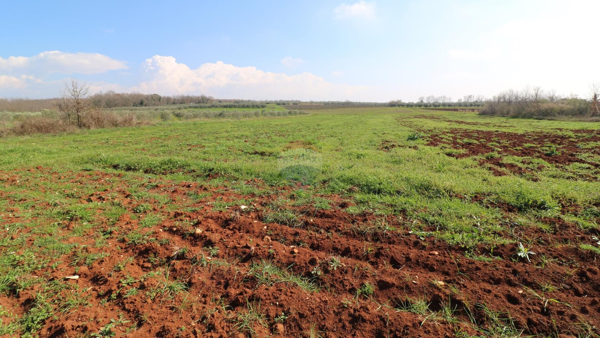 Tierra en Alquitrán, Istarska Županija 12585852