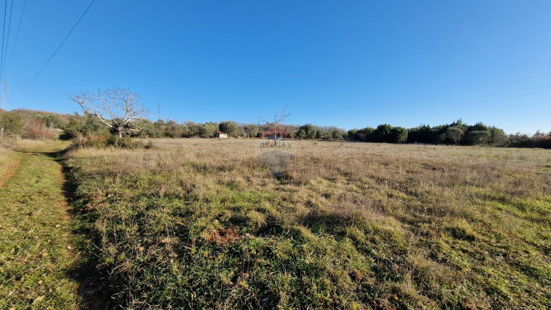 Tierra en Sveti Lovrec Pazenaticki, Istarska Županija 12585864