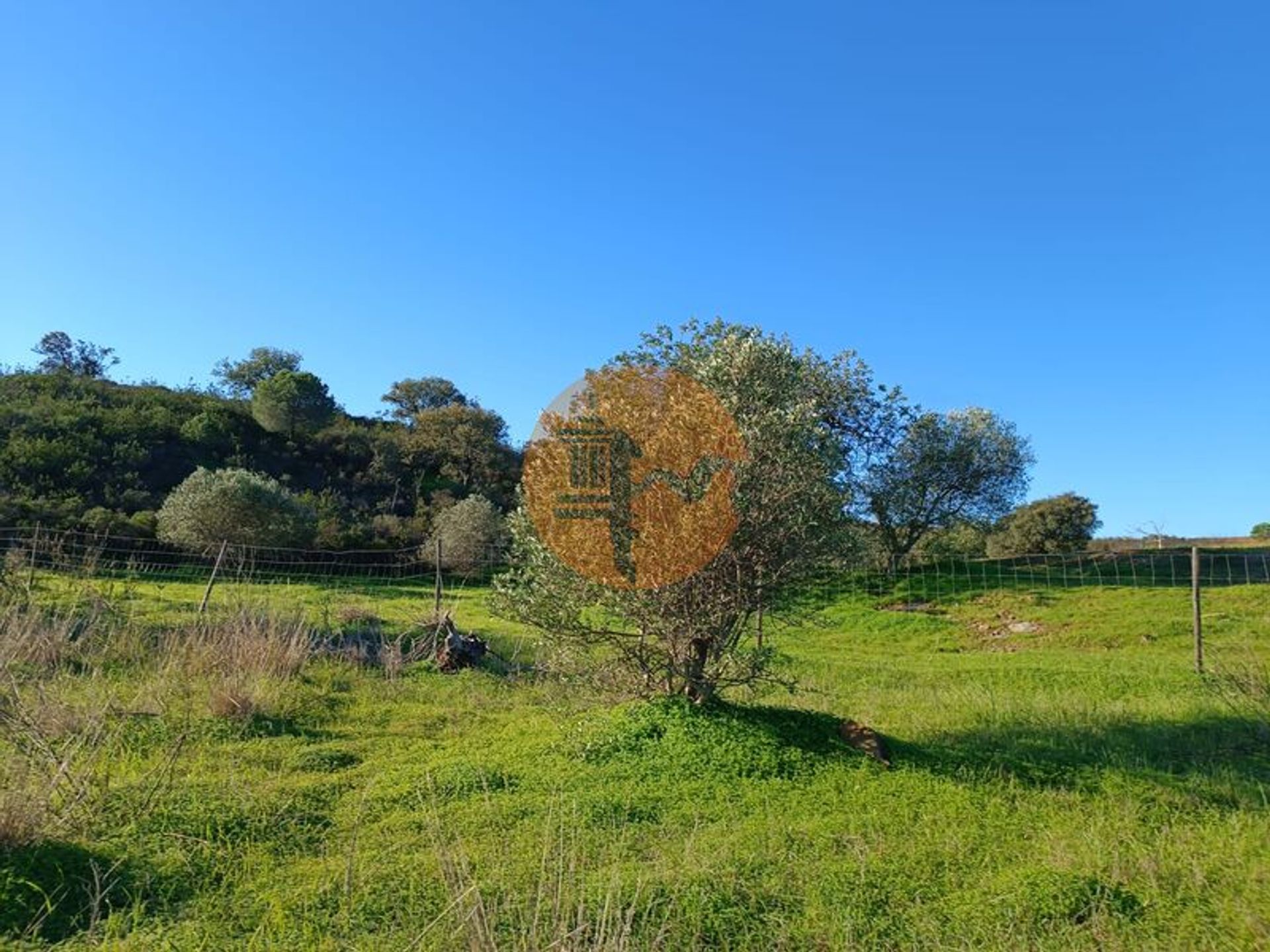 Terre dans Altura, Faro 12592409