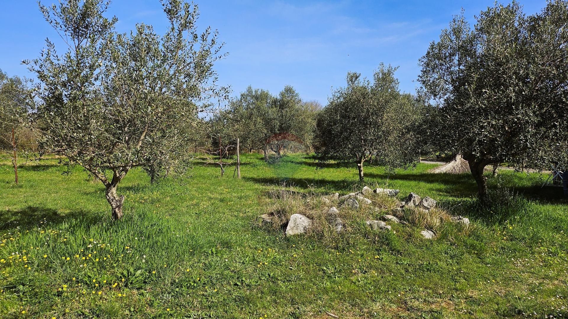 Tanah dalam Umag, Istarska županija 12594115