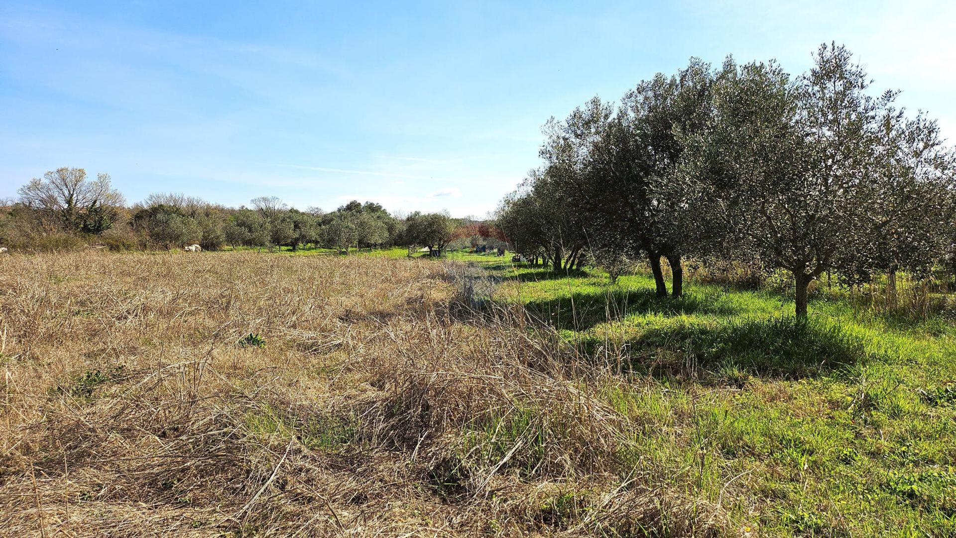 Tanah dalam Umag, Istarska županija 12594115