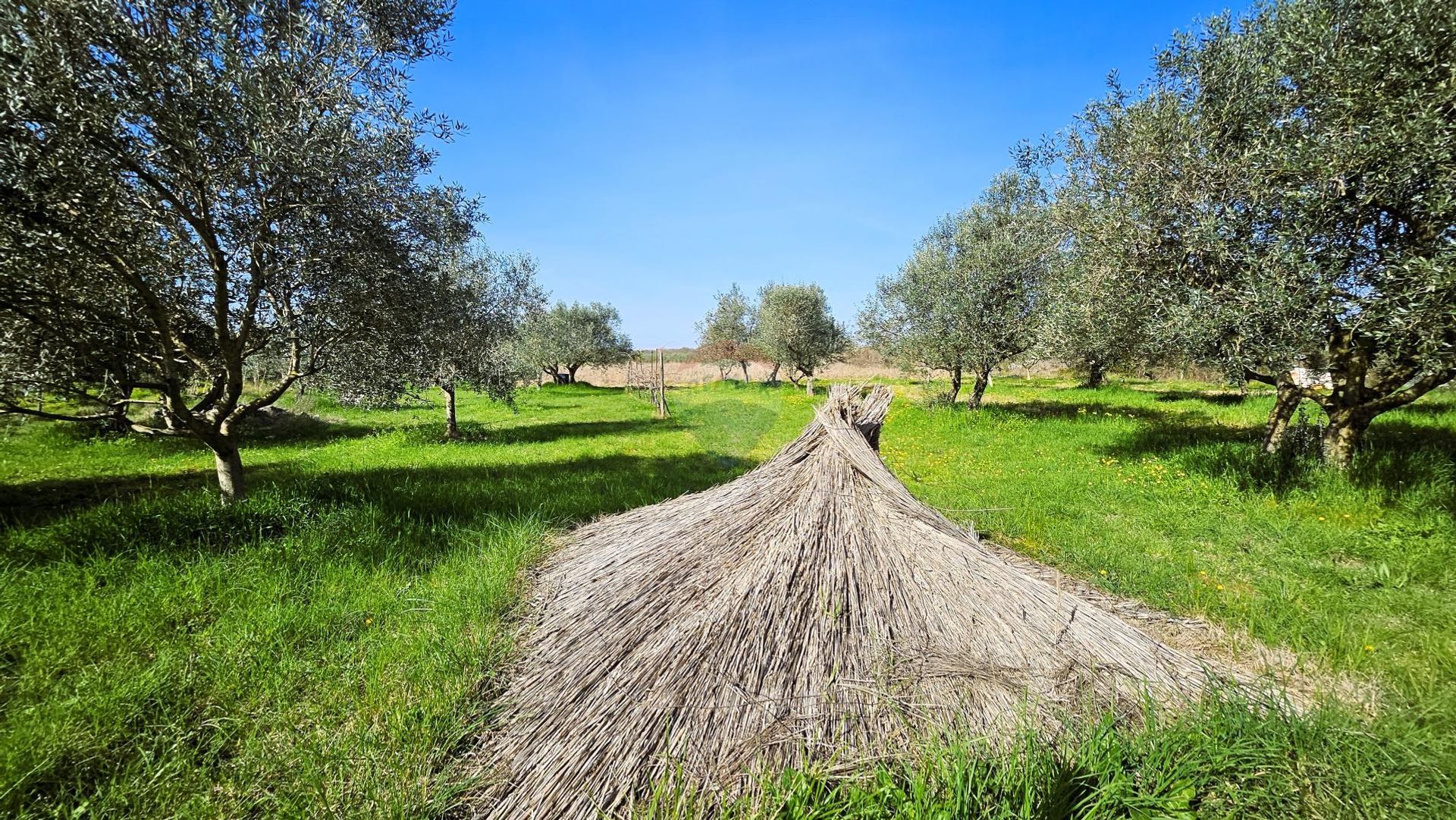 Tanah dalam Umag, Istarska Zupanija 12594115