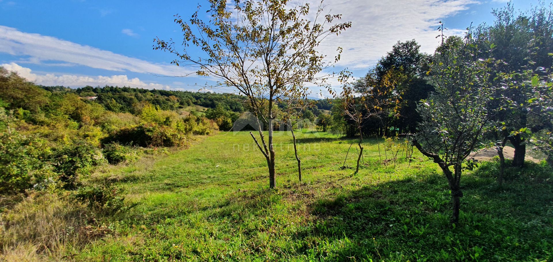 Haus im Gračišće, Istria County 12594172