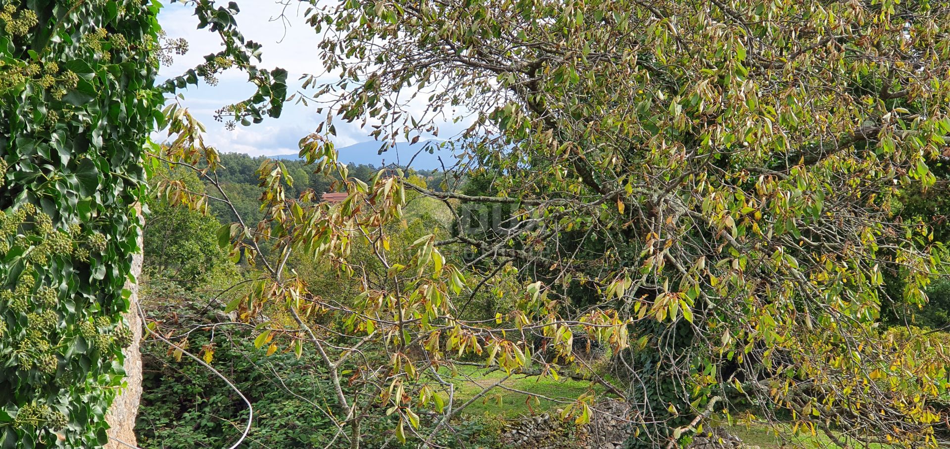 Maa sisään Gračišće, Istria County 12594173