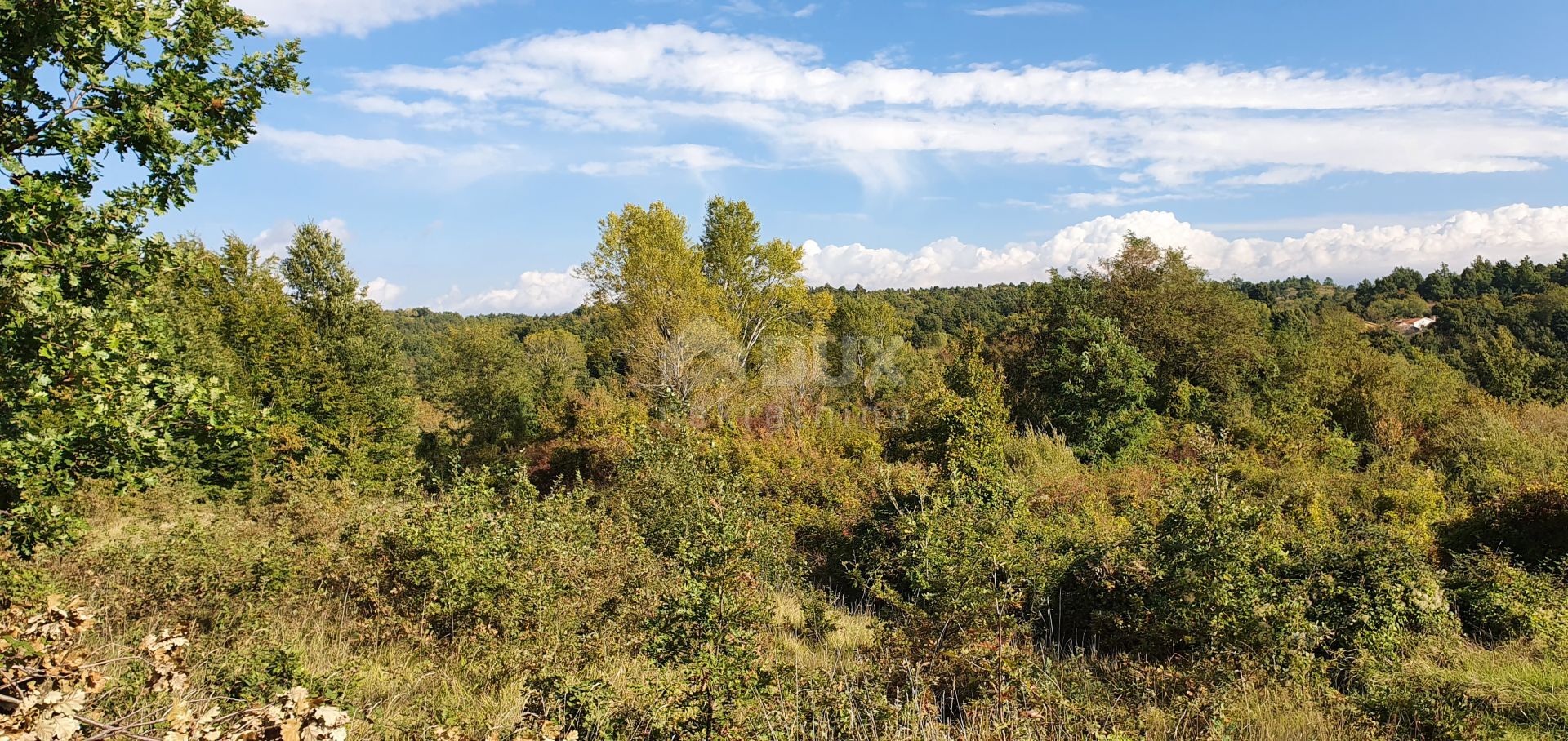 Land im Gračišće, Istria County 12594173