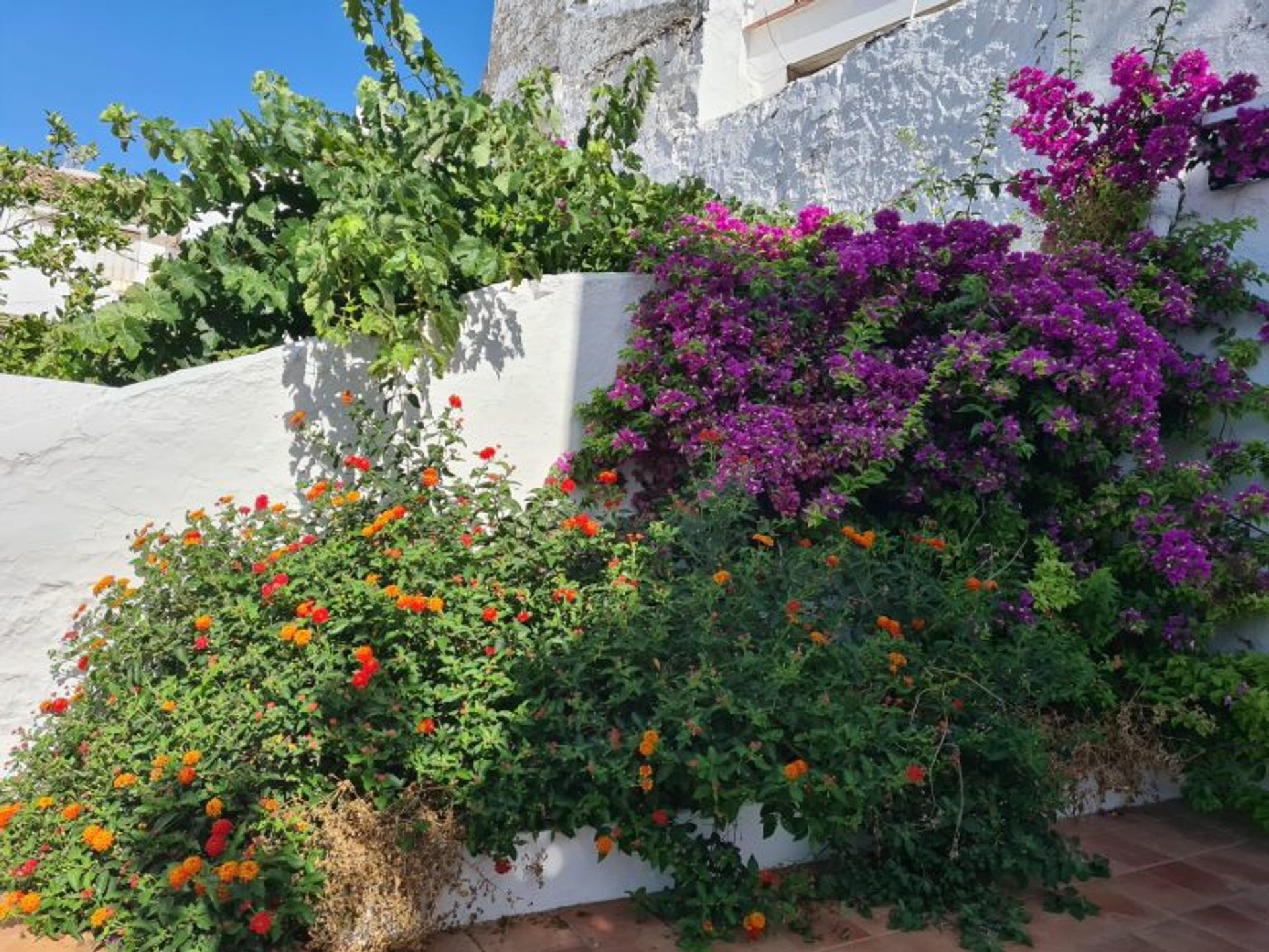 Haus im Olvera, Andalusia 12596144