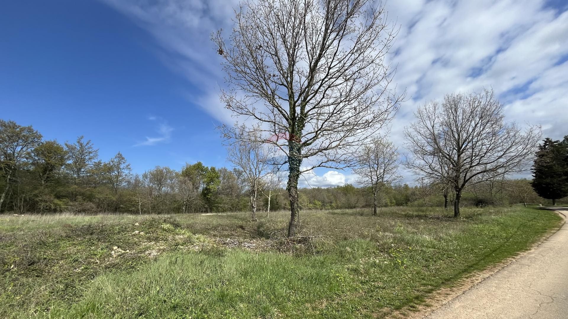 Land im Sveti Lovrec Pazenaticki, Istarska Zupanija 12603969