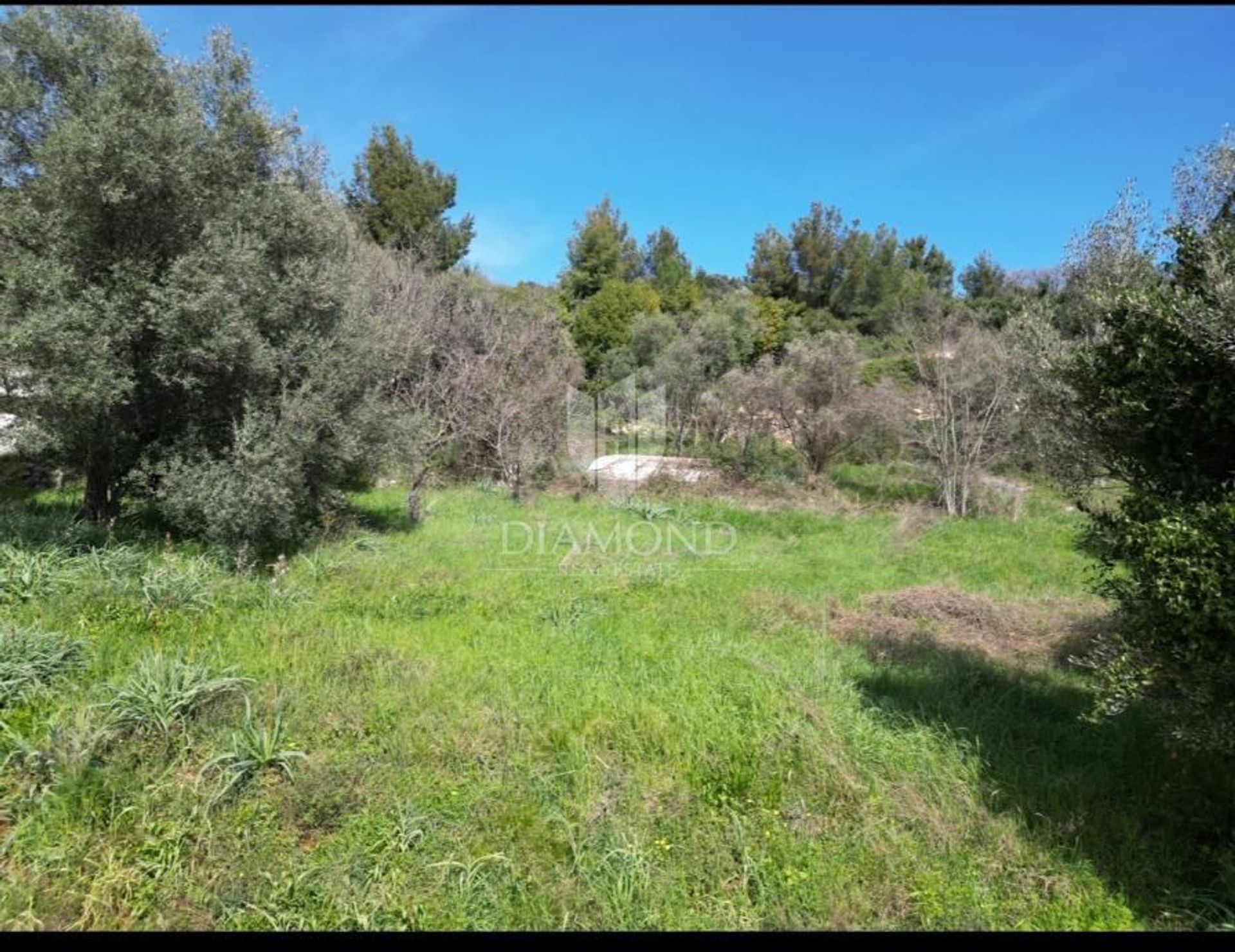 Land in Labin, Istria County 12604232