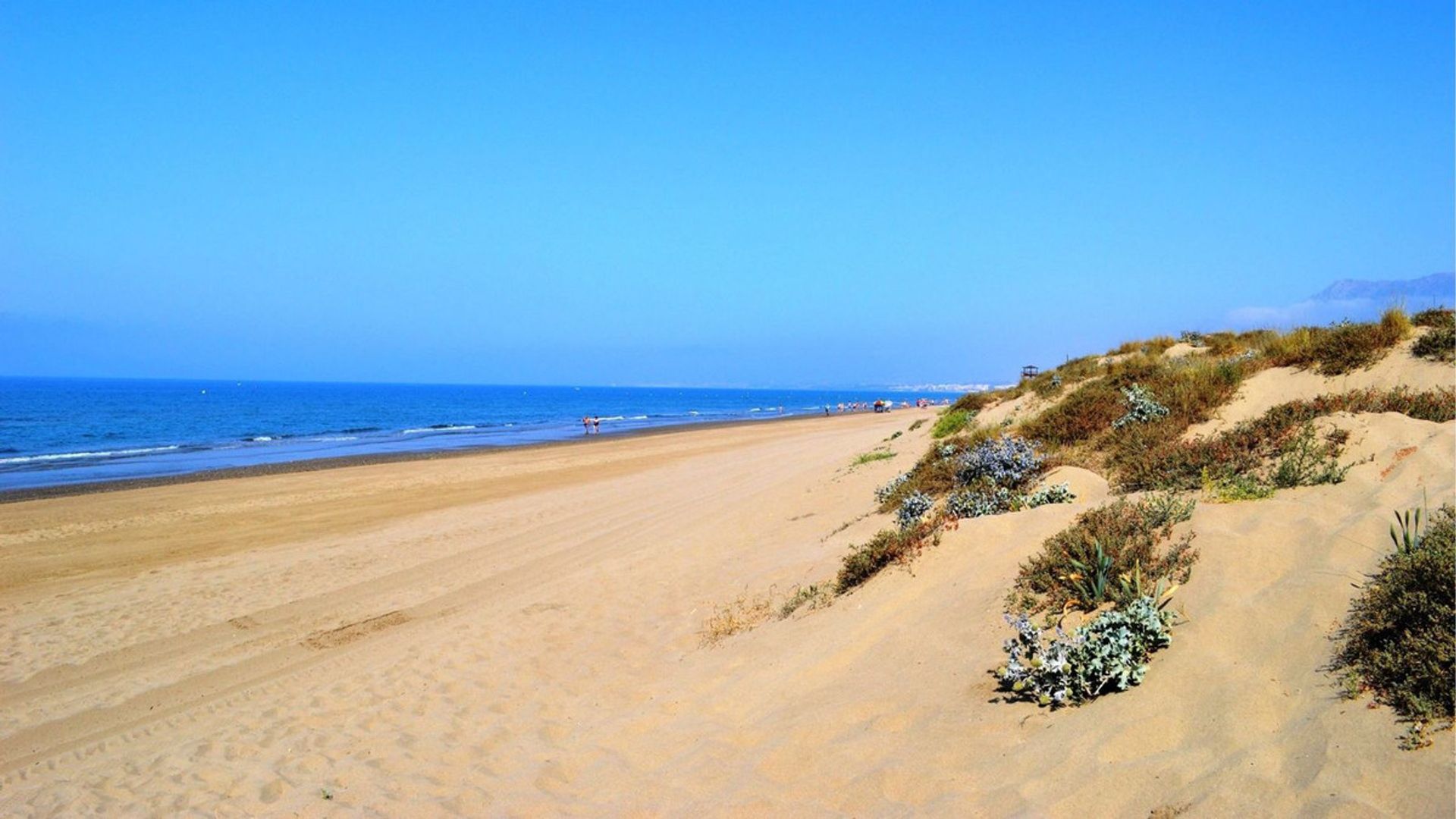 Terra no Marbelha, Andaluzia 12605561