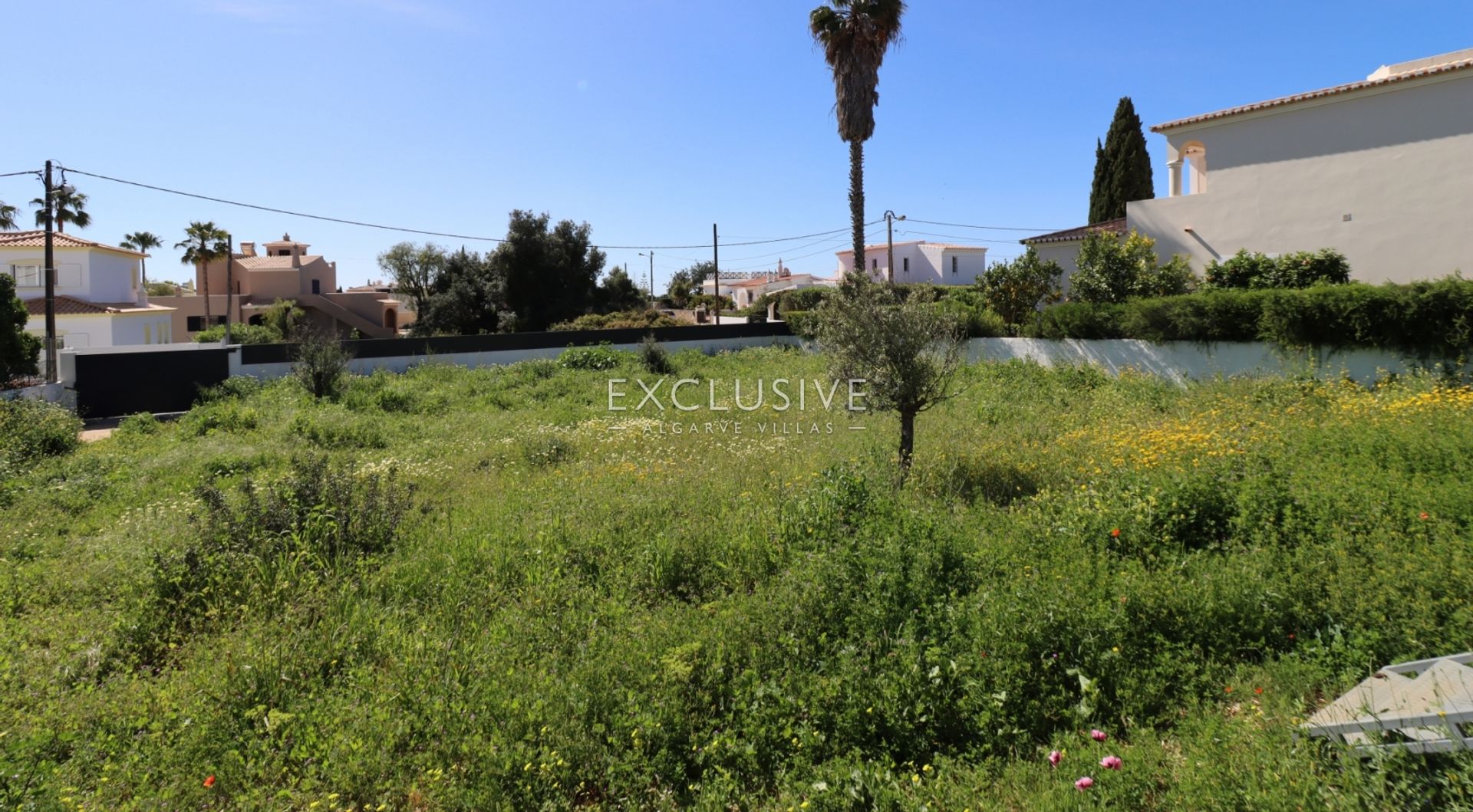 Land in Carvoeiro, Faro 12606200