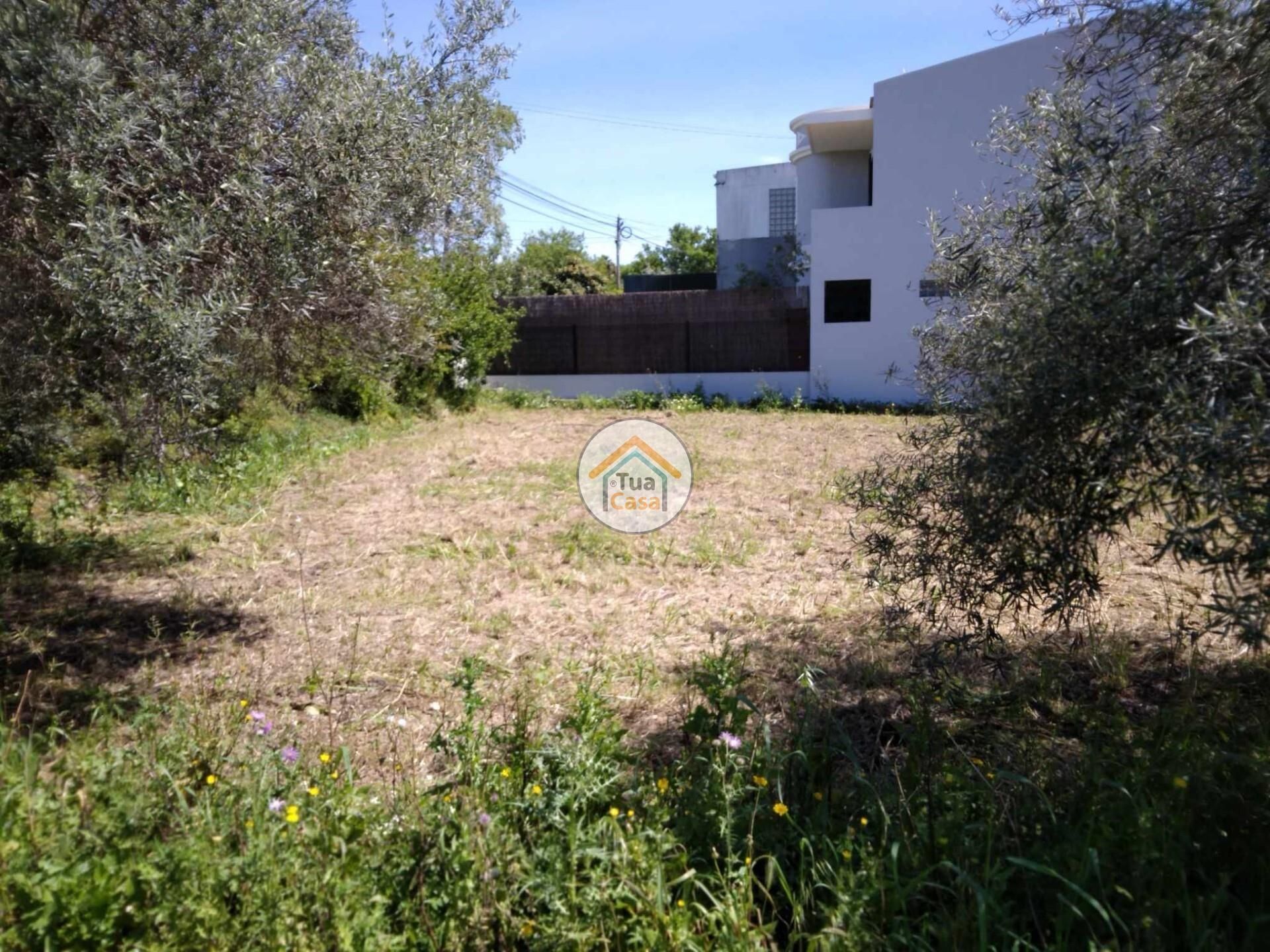 الأرض في São Brás de Alportel, Faro District 12606495