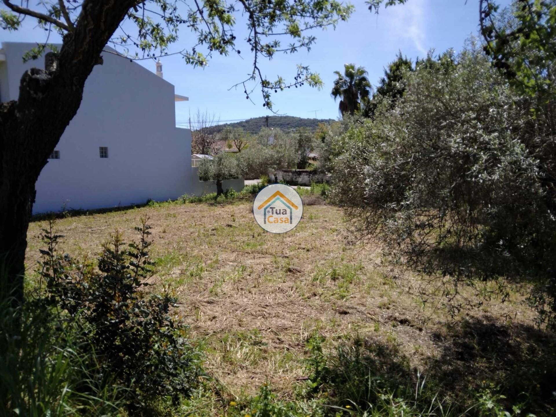 Terre dans São Brás de Alportel, Faro District 12606495