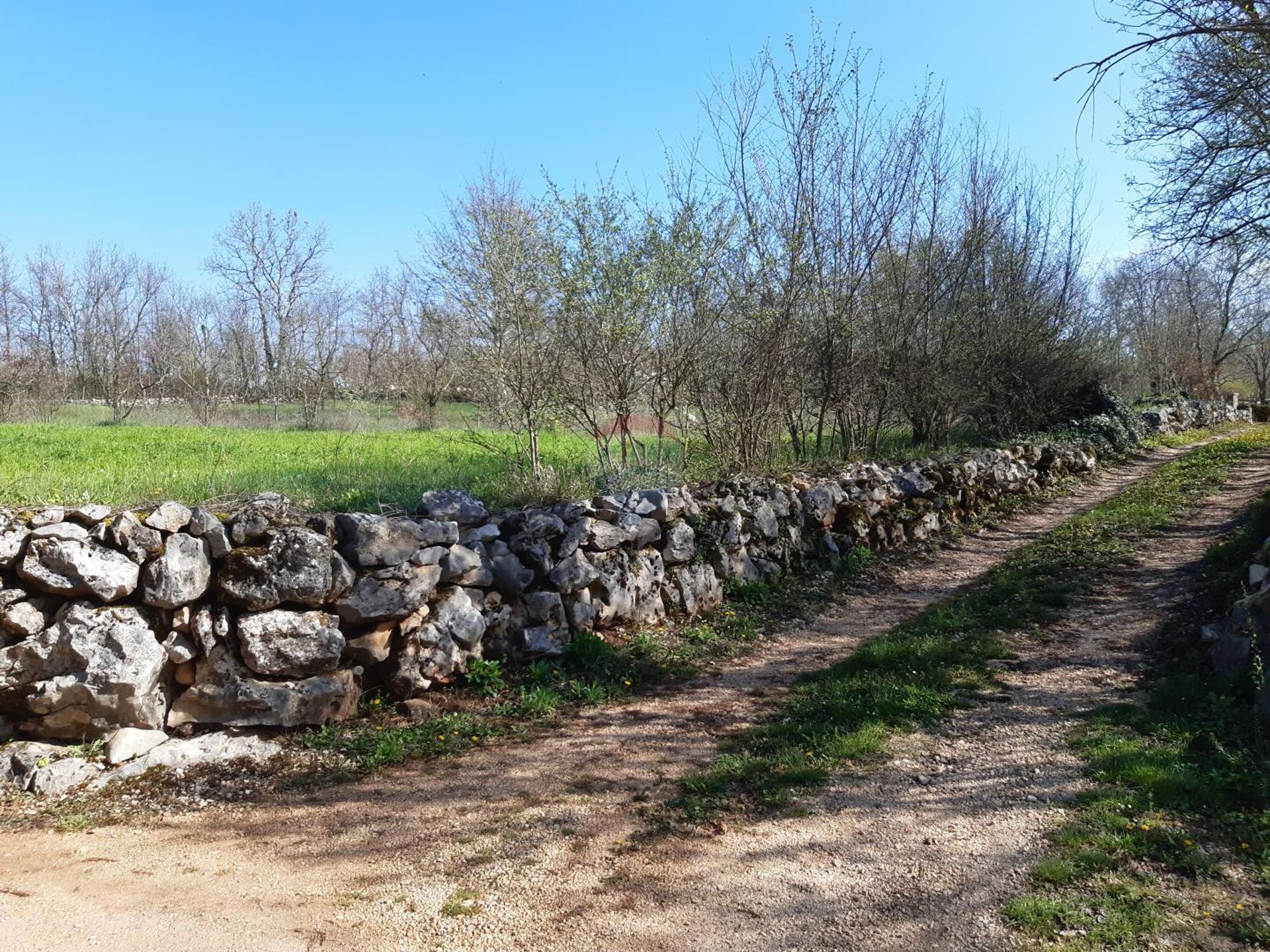 Tanah dalam Sveti Petar u Šumi, Istarska županija 12606791