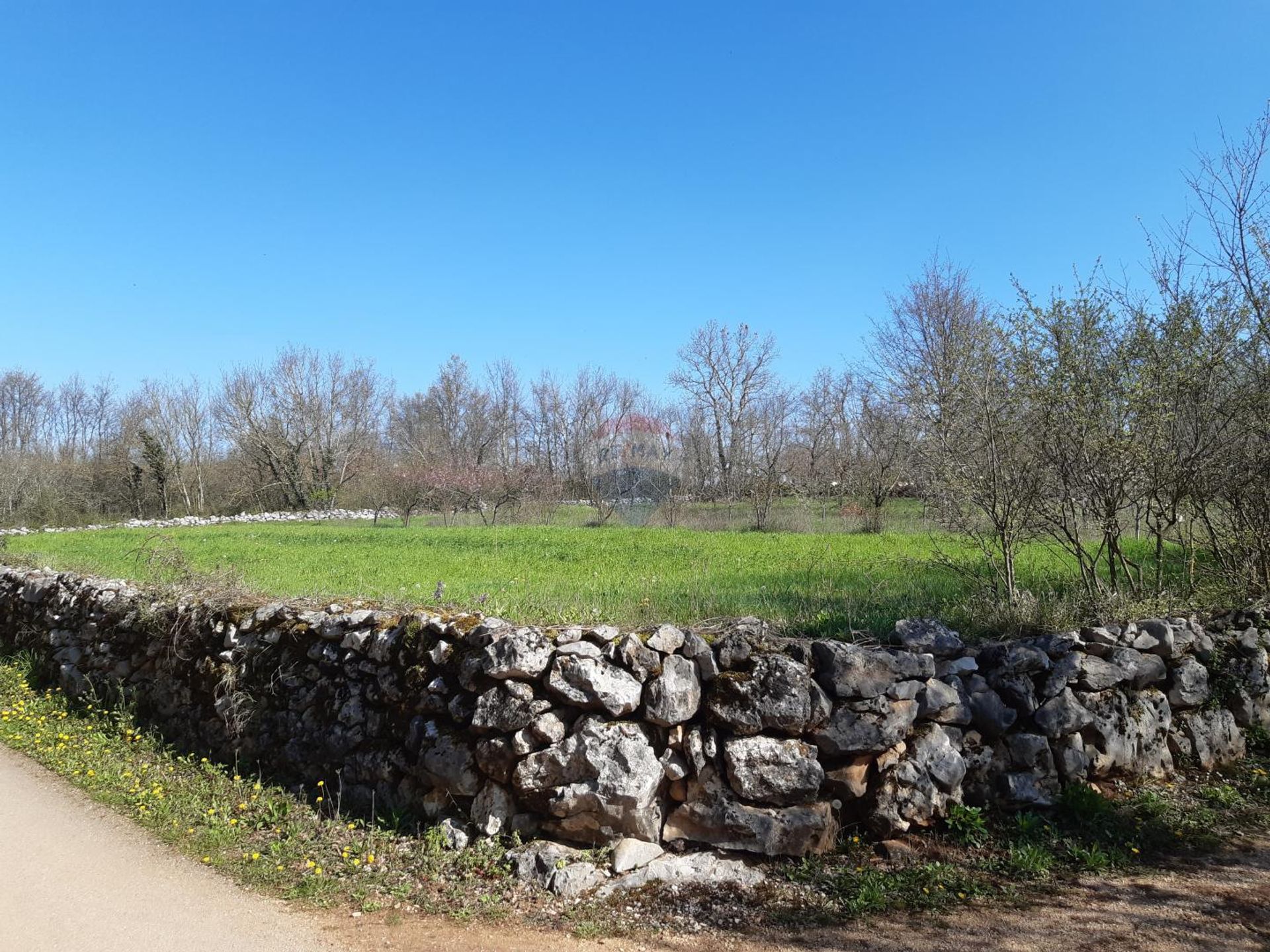 Tanah dalam Sveti Petar u Šumi, Istarska županija 12606791