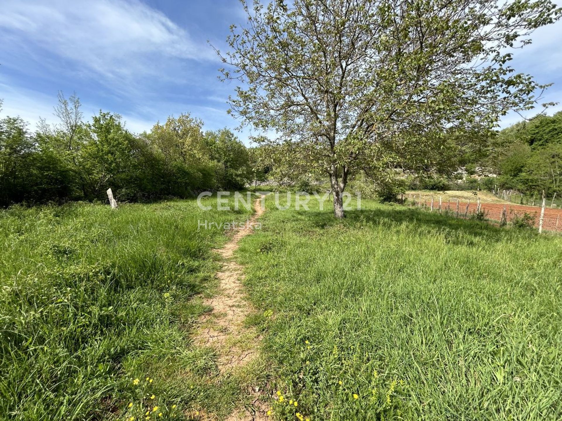 Terre dans Grožnjan, Istria County 12607620