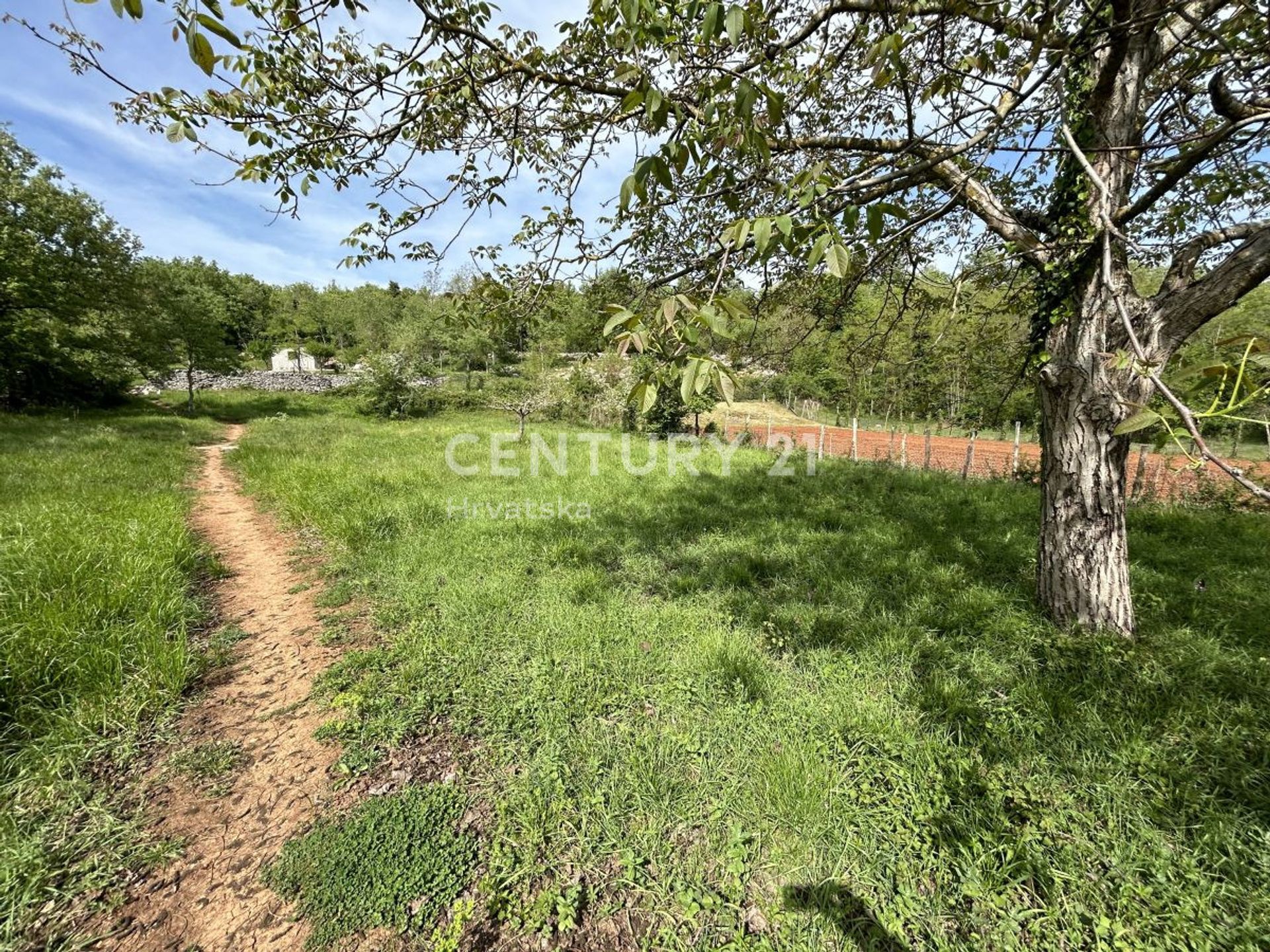 Land im Grožnjan, Istarska Zupanija 12607620