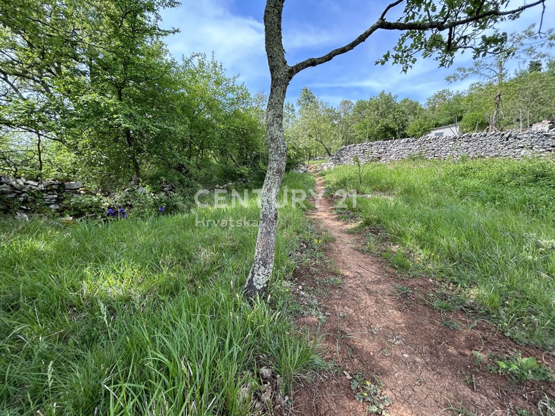 Terre dans Grožnjan, Istria County 12607620