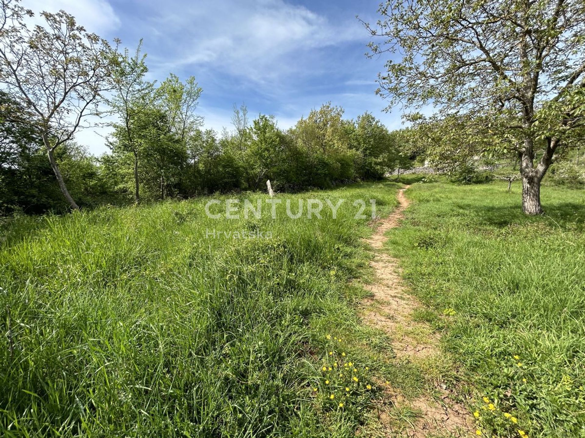 Terre dans Grožnjan, Istria County 12607620