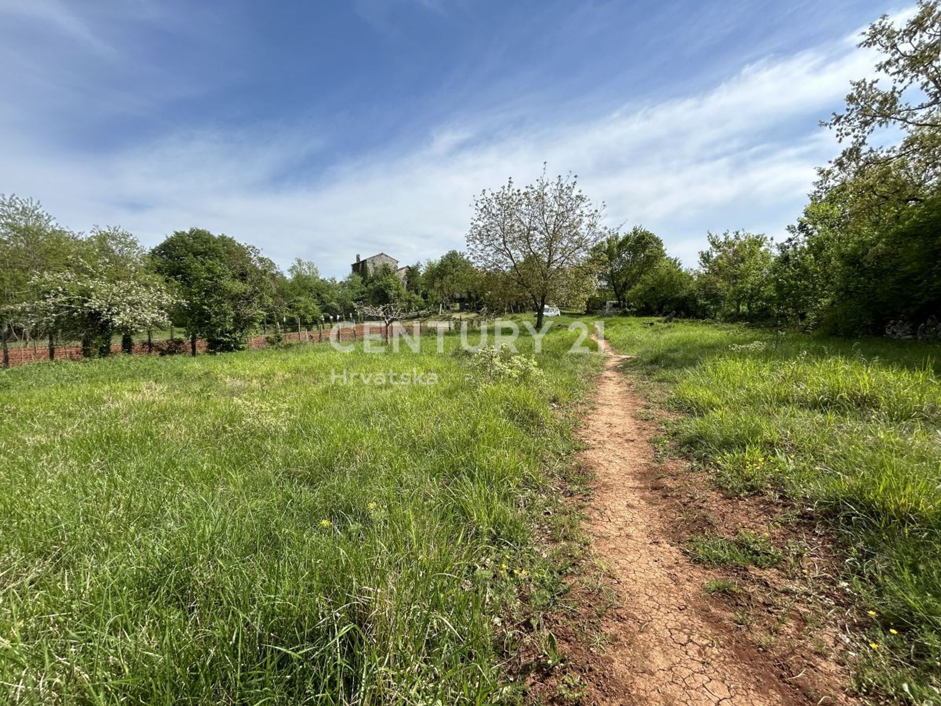 Terre dans Grožnjan, Istria County 12607620