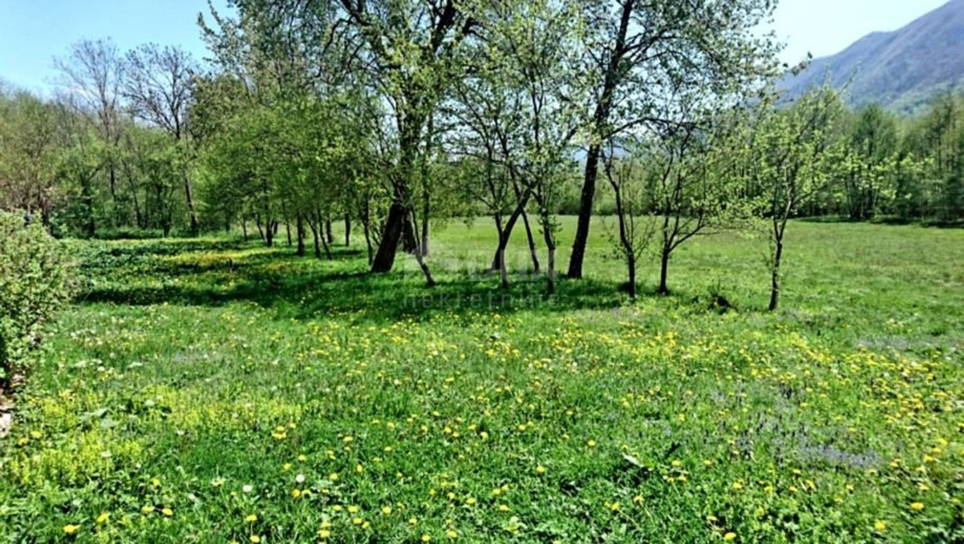 casa en Brušane, Ličko-senjska županija 12608682