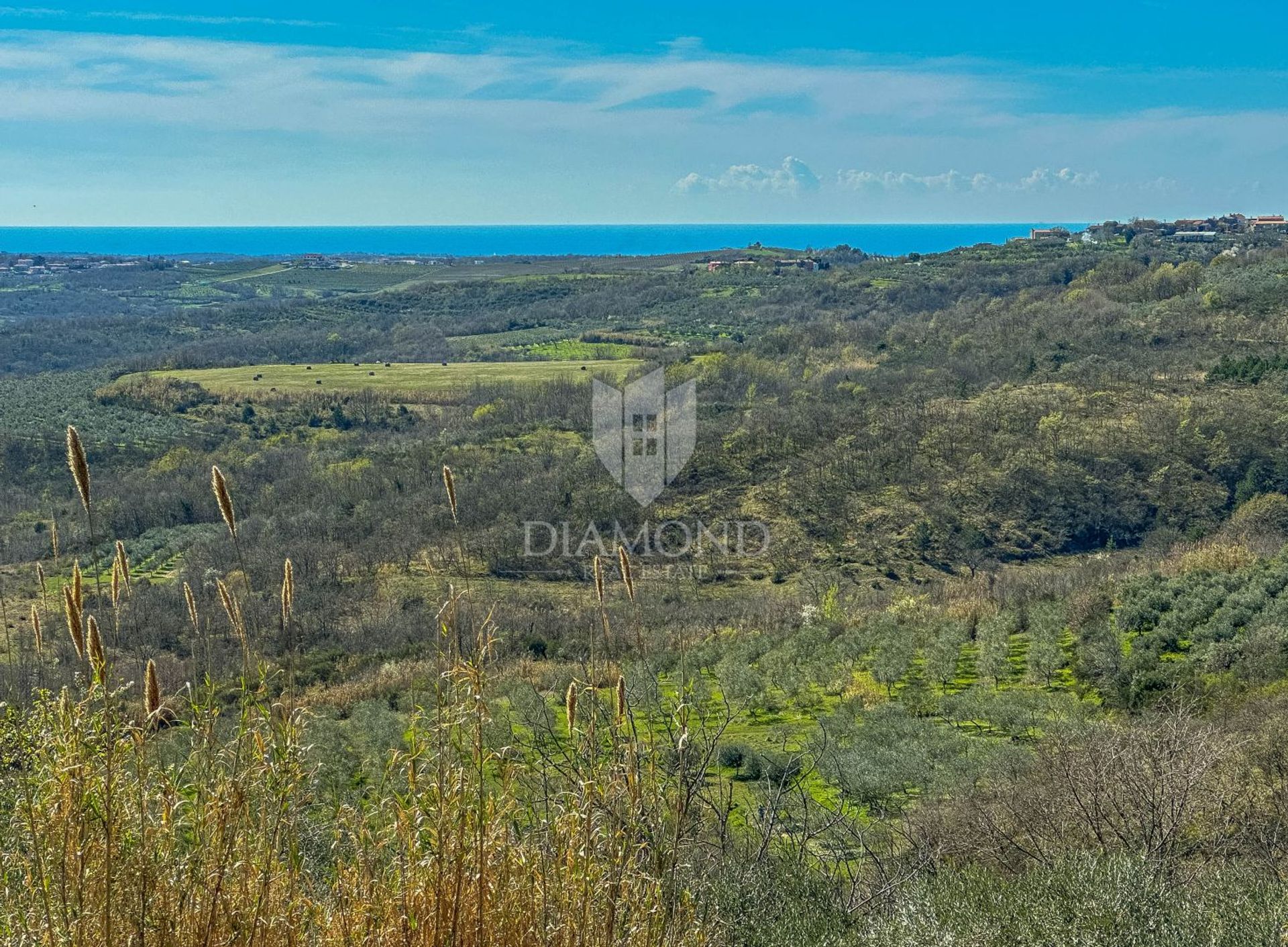 Sbarcare nel Grisignana, Istarska Zupanija 12609487