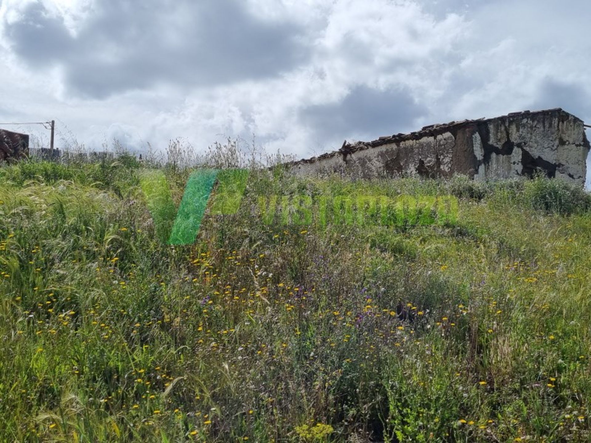 Terre dans São Bartolomeu de Messines, Faro 12610204