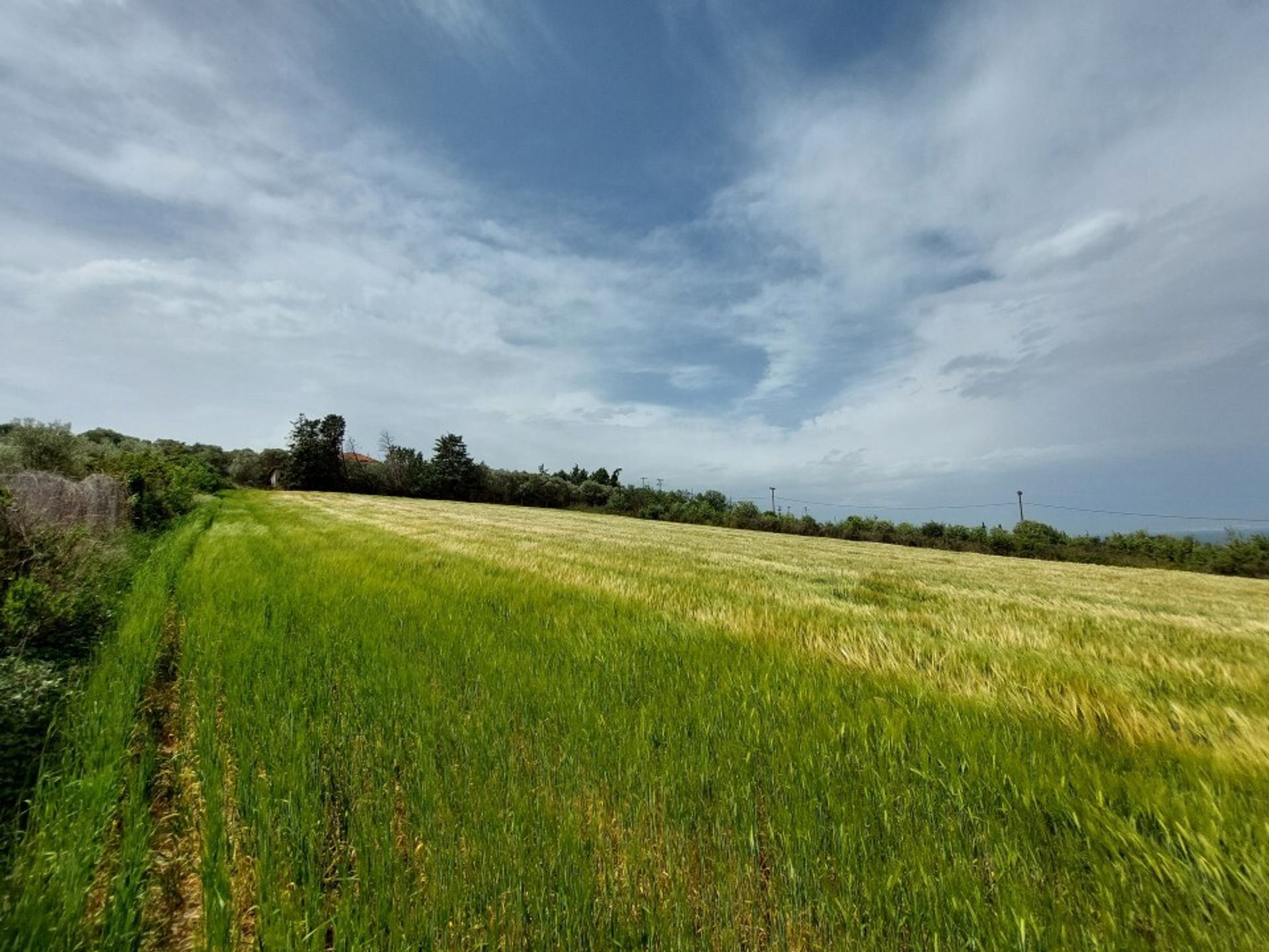 Land i Nea Kerasia, Kentriki Makedonia 12610273