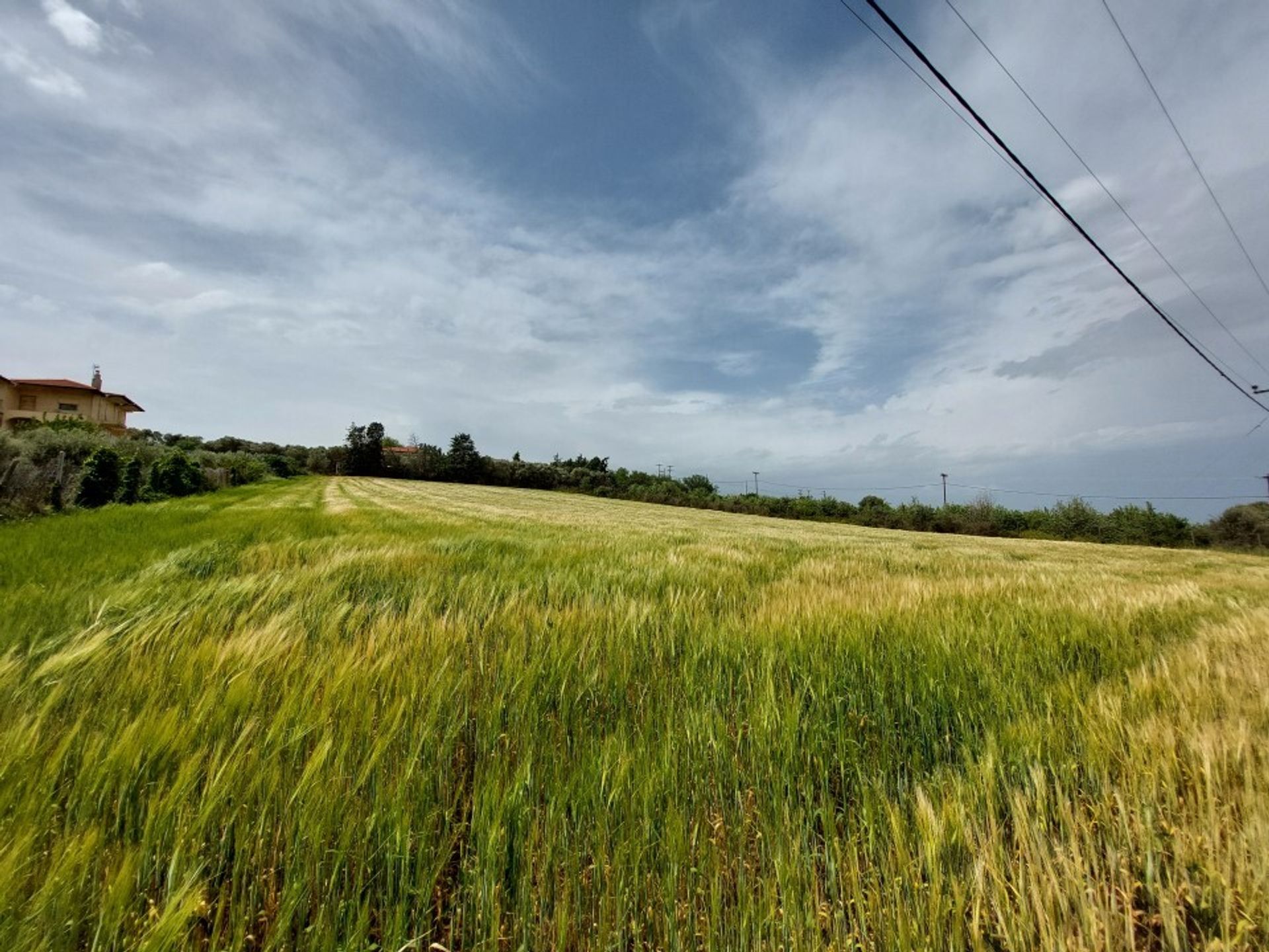 Tanah dalam Nea Kerasia, Kentriki Makedonia 12610273