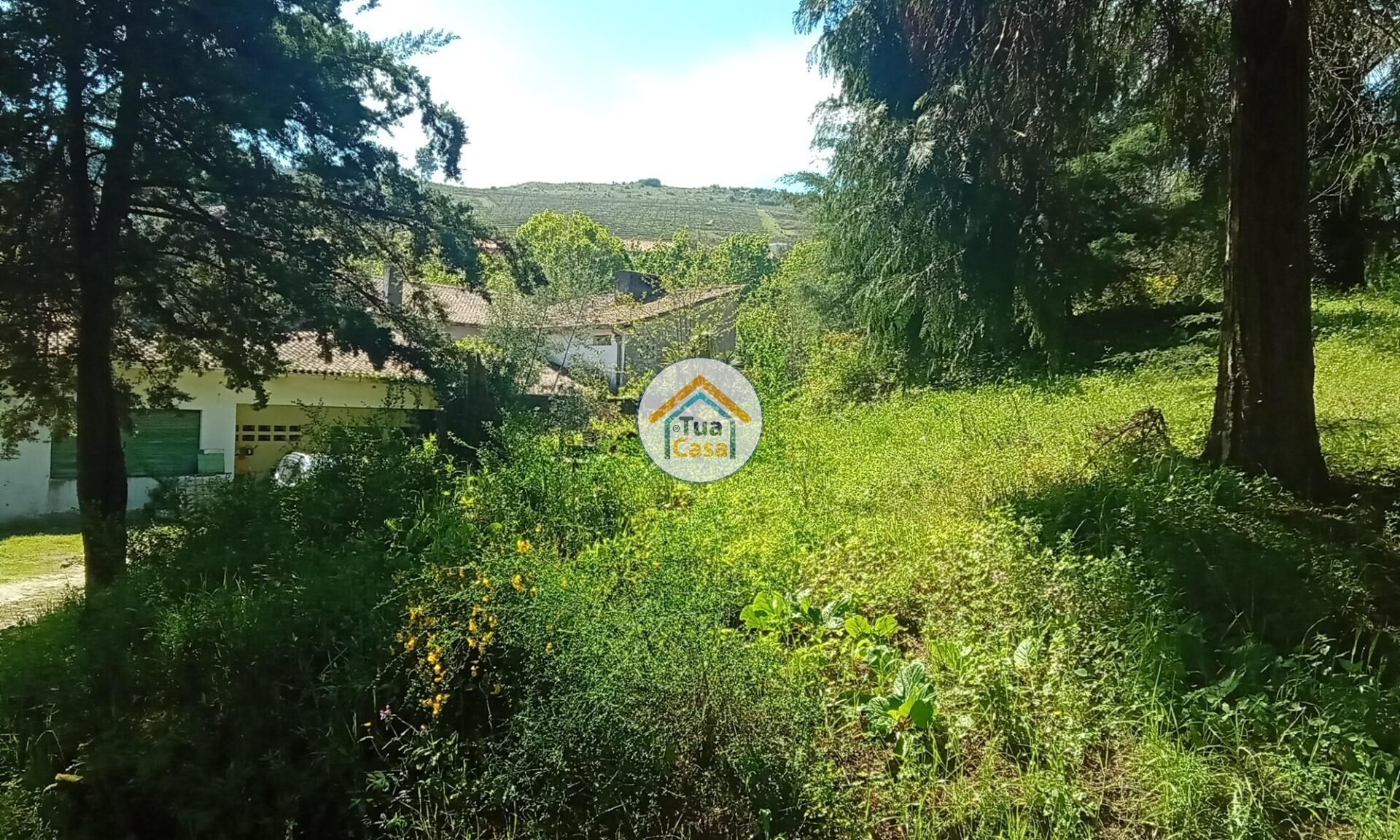 بيت في Lamego, Viseu District 12610996