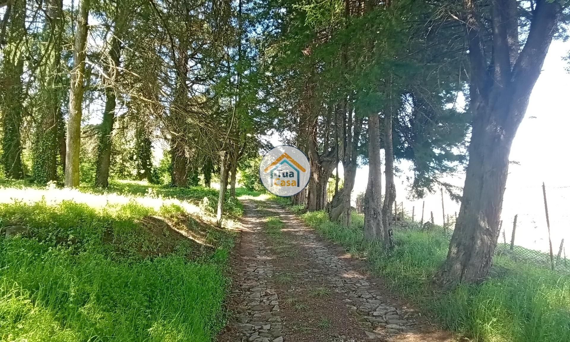 بيت في Lamego, Viseu District 12610996