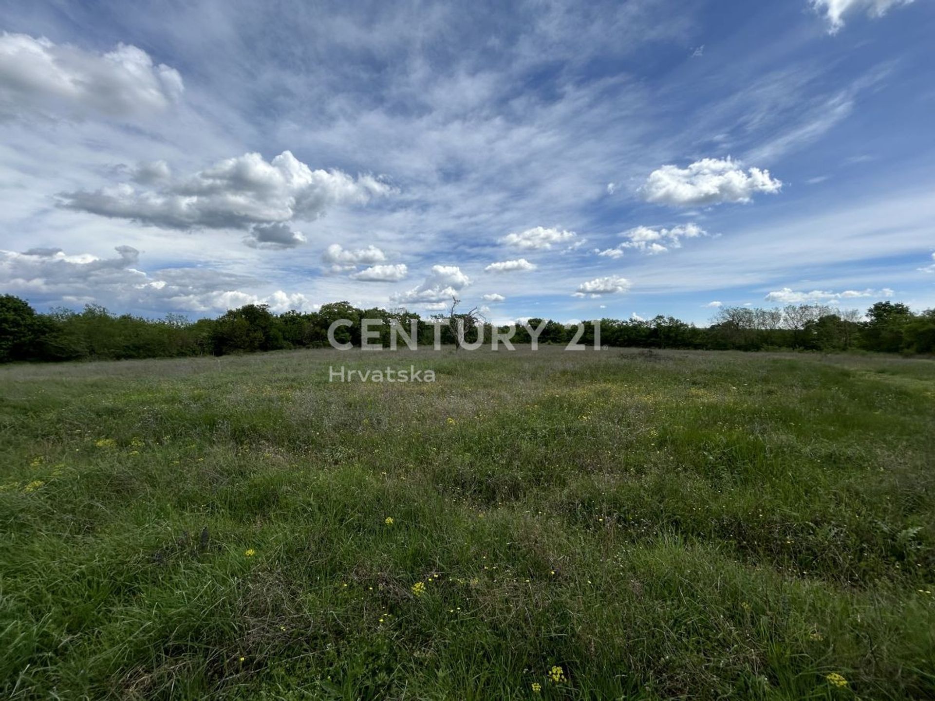 Land in Bale, Istria County 12611397