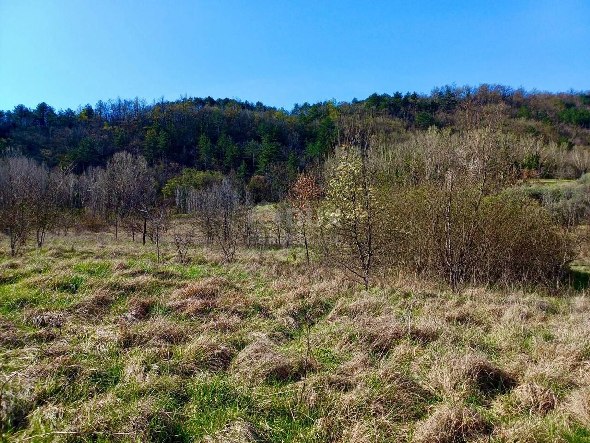 Tanah di Buzet, Istarska Zupanija 12612038