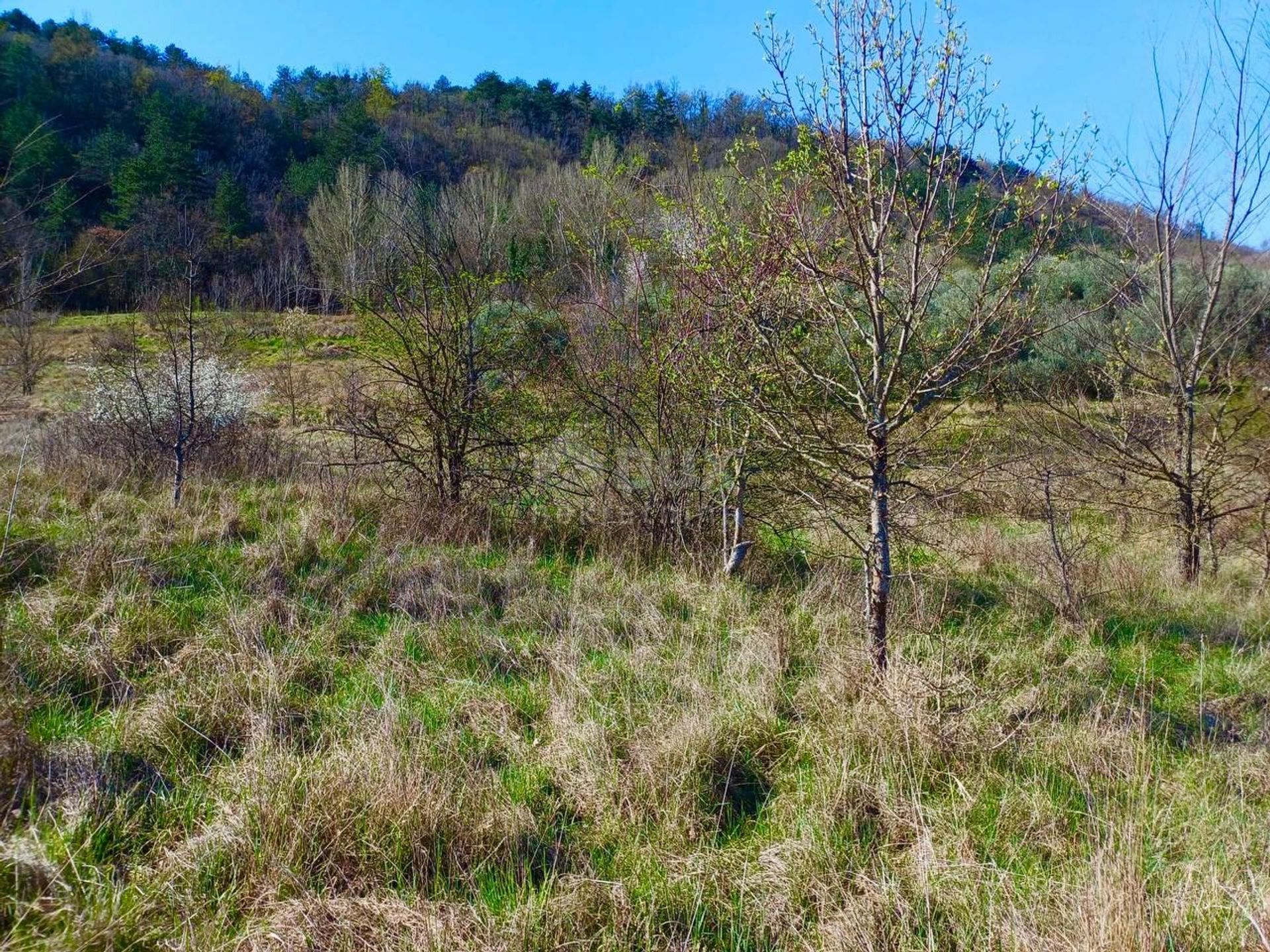 Land im Buzet, Istria County 12612038